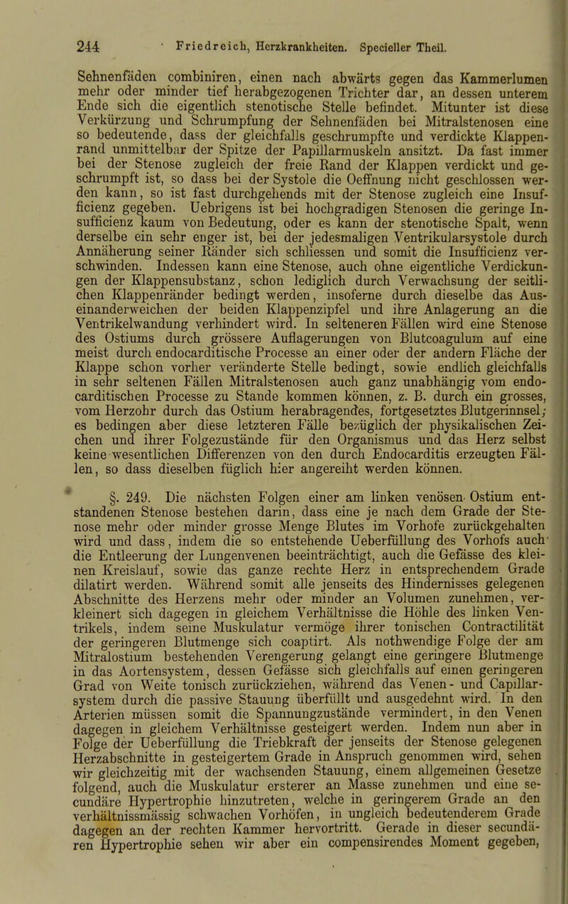 Sehnenfäden combiniren, einen nach abwärts gegen das Kammerlumen mehr oder minder tief herabgezogenen Trichter dar, an dessen unterem Ende sich die eigentlich stenotische Stelle befindet. Mitunter ißt diese Verkürzung und Schrumpfung der Sehnenfäden bei Mitralstenosen eine so bedeutende, dass der gleichfalls geschrumpfte und verdickte Klappen- rand unmittelbar der Spitze der Papillarmuskeln ansitzt. Da fast immer bei der Stenose zugleich der freie Rand der Klappen verdickt und ge- schrumpft ist, so dass bei der Systole die Oeffnung nicht geschlossen wer- den kann, so ist fast durchgehends mit der Stenose zugleich eine Insuf- ficienz gegeben. Uebrigens ist bei hochgradigen Stenosen die geringe In- sufficienz kaum von Bedeutung, oder es kann der stenotische Spalt, wenn derselbe ein sehr enger ist, bei der jedesmaligen Ventrikularsystole durch Annäherung seiner Ränder sich schliessen und somit die Insufficienz ver- schwinden. Indessen kann eine Stenose, auch ohne eigentliche Verdickun- gen der Klappensubstanz, schon lediglich durch Verwachsung der seitli- chen Klappenränder bedingt werden, insoferne durch dieselbe das Aus- einanderweichen der beiden Klappenzipfel und ihre Anlagerung an die Ventrikelwandung verhindert wird. In selteneren Fällen wird eine Stenose des Ostiums durch grössere Auflagerungen von Blutcoagulum auf eine meist durch endocarditische Processe an einer oder der andern Fläche der Klappe schon vorher veränderte Stelle bedingt, sowie endhch gleichfalls in sehr seltenen Fällen Mitralstenosen auch ganz unabhängig vom endo- carditischen Processe zu Stande kommen können, z. B. durch ein grosses, vom Herzohr durch das Ostium herabragendes, fortgesetztes Blutgerinnsel; es bedingen aber diese letzteren Fälle bezügHch der physikalischen Zei- chen und ihrer Folgezustände für den Organismus und das Herz selbst keine wesentlichen Differenzen von den durch Endocarditis erzeugten Fäl- len, so dass dieselben füglich hier angereiht werden können. §. 249. Die nächsten Folgen einer am linken venösen- Ostium ent- |i standenen Stenose bestehen darin, dass eine je nach dem Grade der Ste- y nose mehr oder minder grosse Menge Blutes im Vorhofe zurückgehalten \ wird und dass, indem die so entstehende Ueberfüllung des Vorhofs auch' ' die Entleerung der Lungenvenen beeinträchtigt, auch die Gefässe des klei- nen Kreislauf, sowie das ganze rechte Herz in entsprechendem Grade dilatirt werden. Während somit alle jenseits des Hindernisses gelegenen Abschnitte des Herzens mehr oder minder an Volumen zunehmen, ver- kleinert sich dagegen in gleichem Verhältnisse die Höhle des linken Ven- trikels, indem seine Muskulatur vermöge ihrer tonischen ContractiUtät der geringeren Blutmenge sich coaptirt. Als nothwendige Folge der am Mitralostium bestehenden Verengerung gelangt eine geringere Blutmenge in das Aortensystem, dessen Gefässe sich gleichfalls auf einen geringeren Grad von Weite tonisch zurückziehen, während das Venen - und Capillar- system durch die passive Stauung überfüllt und ausgedehnt wird. In den Arterien müssen somit die Spannungzustände vermindert, in den Venen dagegen in gleichem Verhältnisse gesteigert werden. Indem nun aber in Folge der Ueberfüllung die Triebkraft der jenseits der Stenose gelegenen Herzabschnitte in gesteigertem Grade in Anspruch genommen wird, sehen wir gleichzeitig mit der wachsenden Stauung, einem allgemeinen Gesetze folgend, auch die Muskulatur ersterer an Masse zunehmen und eine se- cundäre Hypertrophie hinzutreten, welche in geringerem Grade an den verhältnissmässig schwachen Vorhöfen, in ungleich bedeutenderem Grade dagegen an der rechten Kammer hervortritt. Gerade in dieser secundä- ren Hypertrophie sehen wir aber ein compensirendes Moment gegeben,