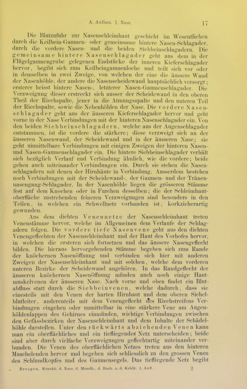 Dio IMiit/utulir zur Xasenschloimliaiit ^-osoliielit im VVosentlicluMi (lurcli (Ho Keilboin-dauiiKMi- oder j>vineiiisame hintere Xaseu-8ehlat;-a<ler. durch dio v(^rdere Xaseii- und die beiden Sie])beinsehhijj:adern. Die g'eniein sani e hintere X a s e n sc h 1 ai^-a d e r ^v\\t ans dem in (h'r Fliij>:elg-anmenj>-rnbe i;-clej>-enen Endstücke der inneren Kieterschlat;a(UM- hervor, begibt sieh zum Keilbein<;-aumenh)ehe und teilt sicli vor Oder in demselben in zwei Zweig-e. von welchen der eine die äussere Wand der X'asenbJdde. der andere die Xasenseheidewand han])tsäehHch versor<i-t; ersterer heisst hintere Xasen-, letzterer Xasen-daumenschla-^-adcr. Die Verzweiji'unii- dieser erstreckt sich ausser der Scheidewand in den oberen Theil der Riechspalte, jener in die Atnumg-sspalte und den unteren Teil der Riechspalte, sowie (lie XebenluUden der Xase. Die vordere Nasen- schlagader geht ans der äusseren Kieterschlagader hervor und geht vorne in der Xase ^'erbindungen mit der hinteren Xasenschlagader ein. X'on den beiden S i e b b e i n s c h 1 a g a d e r n. welche aus der Augenschlagadi'r entstannnen, ist die vordere die stärkere; diese verzweigt sich an der äusseren X'asenwand, der Scheidewand und in der äusseren Xase; sie geht unmittelbare ^'erbindungen mit einigen Zweigen der hinteren Nasen- und Xasen-(iaumenschlagader ein. Die hintere Siebbeinschlagader verhält sich bezüglich \'erlaut' und \'erl)indung ähnlich, wie die vordere; beide gehen auch miteinander \'erbindungen ein. Durch sie stehen die Xasen- schlagadern mit denen der Hirnhäute in Verbindung. Ausserdem bestehen noch A'erbindungeu mit der Scheidewand-, der (laumen- und der Tränen- nasengang-Schlagader. In der Xasenhöhle liegen die griisseren Stänune fest auf dem Knochen oder in Furchen desselben ; die der Schleimhaut- oberfläche zustrebenden feineren Verzweigungen sind besonders in den Teilen, in welchen ein Schwellnetz vorhanden ist. korkzielierartig gewunden. Aus dem dichten \'enen netze der Xasenschleimhaut treten \'enenstämnu^ hervor, welche im Allgemeinen dem Verlaufe der Schlag- adern folgen. Die vordere tiefe Xasenvene geht aus den dichten Venengeflechten der X'^asenschleindiaut und der Haut des Vorhofes hervor, in welchen die ersteren sich fortsetzen und das äussere Xasengeflecht bilden. Die hieraus hervorgehenden Stämme begeben sich zum Rande der knJichernen Xaseni'ttliuuig und verbinden sich hier mit anderen Zweigen der X'^asenschleindiaut und mit solchen, welche dem vorderen unteren Iiezirke der Scheidewand angehin-en. In das Randgefleclit der äusseren kni)chenu^n Xaseni»ffhung münden auch noch einige Haut- nuiskelvenen der äusseren Xase. Xach vorne und oben tindet ein Blut- abfluss statt durch die S i e b b e i n von en , welche dadurch, dass sie einesteils mit den \'enen der harten Hirnhaut und dem oberen Sichel- blutleiter . anderenteils mit dem Venengeflecht (fes Riechstreifens Ver- bindungen eingeben oder unmittelbar in eine stärkere Vene am Augen- höhlenlappen des (iehirnes einmünden, wichtige \'erbindungen zwischen den Getassbezirken der Xasenschleindiaut und dem Inhalte der Schädel- liöhlc darstellen. Tnter den rückwärts abziehend e n V e n e n kann man ein oberflächliches und ein tiefliegendes Xetz unterscheiden; beide sind aber durch vielfache Verzweigungen geflechtartig miteinander ver- ])unden. Die ^\Mlen des oberflächlichen Xetzes treten aus den hinteren Muschelenden hervor und begeben sich schliesslich zu den grossen Venen des Schlundkopfes und des (laumensegels. Das tiefliegende Netz begibt Bresgen, Krankh. d. Xase, <1. Mundil., d. Räch. u. d. Kelilk. 2. AuH. 2