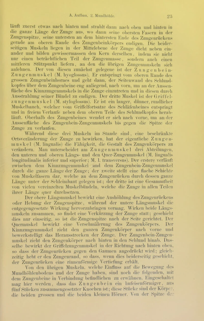 läuft zuerst etwas naeh liinteu uiul strahlt dann iiaeli oheii und hinten in die g-auze Länge der Zunge aus, wo dann seine obersten Fasern in der Zungenspitze, seine untersten an dem hintersten VauW des Zungenrüekens gerade am oberen Rande des Zungenbeinkin-pers endigen. Die beider- seitigen Muskehl liegen in der Mittelebene der Zunge dielit neben ein- ander und bilden gewissermassen den Kern derselben, indem sie nieht nur einen beträehtlichen Teil der Zungenmasse, sondern auch einen mittleren Stüt7>punkt liefern, an den die übrigen Zungennuiskeln sieh anlehnen. Der von diesen zunäelist gelegene ist der Zungenbein- Zungenmuskel (M. hvoglossus). Er entsprin-;t vom oberen Rande des grossen Zungenbeinliornes und geht dann, der Seitenwand des Sehlund- ko})fes über dem Zungenbeine eng anliegend, naeh vorn, um an der Aussen- Häehe des Kinnzungennuiskels in die Zunge einzutreten und in diesen durch Ausstrahlung seiner Bündel zu endigen. Der dritte Muskel ist der (ü riffel- zuugenmuskel (M. styloglossus). Kr ist ein langer, dünner, rundlicher Muskelljaueh, welcher vom ('«riffelfortsatze des Schläfenbeines entspringt und in freiem \'erlaufe neben dem obi'ren IV'ile des Schlundkopfes lierab- läuft. (iberhalb des Zungenbeines wendet er sich nach vorne, nm an der Aussenfläche des Zungenbein-Zungennuiskels bis gegen die S})itze der Zunge zu verlaufen. Während diese drei Muskeln im Stande sind. eine beschränkte Ortsveränderung der Zunge zu bewirken, hat der eigentliche Zungen- mnskel (M. lingualis) die Fälligkeit, die destalt des Zungenki'trpers zu verändern. Man unterscheidet am Zungenniuske 1 drei Abteilungen, den unteren und oberen Längs- und den C^uer-Zungenmuskel (M. lingualis longitudinalis inferior und superior; M. 1. transversus). Der erstere verläuft zwischen dem Kinnzungenmuskel und dem Zungenbein-Zungenmuskel durch die ganze Länge der Zunge; der zweite stellt eine flache Schichte von Muskelfasern dar, welche an deni Zungenrücken durch dessen ganze Länge unter der Schleimhaut gelegen ist; der dritte ist eine (iesannntlieit von vielen xereinzelten Muskell)ün(leln, welche die Zunge in allen Teilen ihrer Länge quer durchsetzen. Der oi)ere Längsnuiskel bewirkt eine Aushithlung des Zungenrückens oder Hebung der Zungenspitze, während der untere Längsnuiskel die entgegengesetzte Wirkung hervorzubringen vermag. Wirken beule Längs- muskeln zusannnen. so tindet eine Verkürzung der Zunge statt; geschieht dies nur einseitig, so ist die Zungens])itze mich der Seite gerichtet. \)vr (iuermuskel bewirkt eine Verschmälerung des Zungenkih'pcM's. Der Kinnzungenmuskel zieht den ganzen Zungenkiu'per nach vorn(> und bewerkstelligt das Herausstrecken der Zunge. Der Zungenbein-Zungen- muskel zieht den ZungenkJb'per nach hinten in den Schlund hinab. Das- selbe bewirkt der (iriffelzungenmuskel in der Richtung nach hinten oben, so dass der Zungenrücken gegen den (hunnen ange(lrückt wird; gleich- zeitig hebt er den Zungenrand, so dass, wenn dies beiderseitig geschieht, der Zungenrücken eine rinnenf(»rmige Vertiefung erhält. Von den übrigen Muskeln, welche Kinfiuss auf die Bewegung des Mundhidilenbodens und der Zunge haben, sind noch die tolgenden, mit dem Zungenbeine in \'erbindung betindliclien zu erwähiu'u. Kingeschaltet mag hier werden, dass das Zungenbein ein hufeisenfrtrmiger, aus tÜnf Stücken zusannnengesetzter Knochen ist; diese Stücke sind der Körper, die beiden grossen und die beiden kleinen Hörner. \'on der Sjiitze de:'
