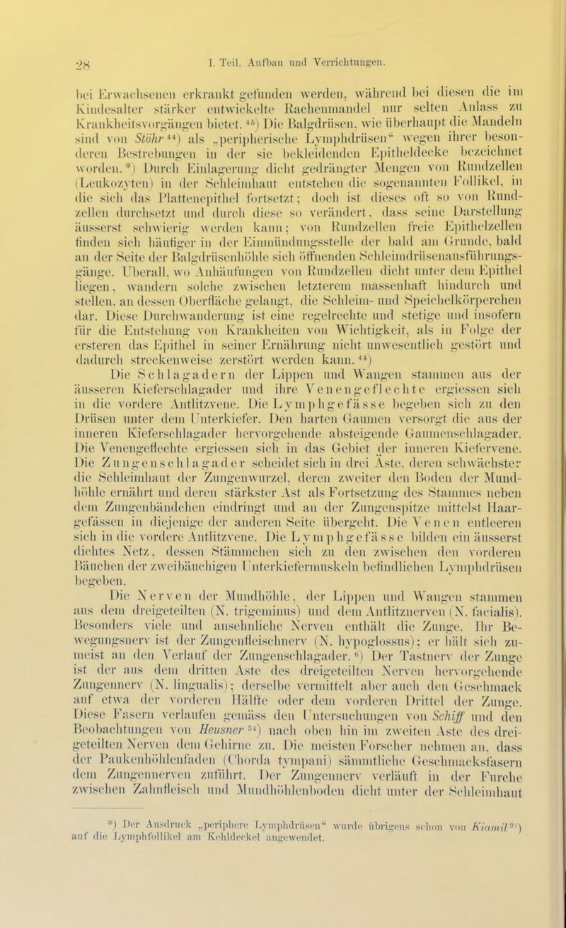 lic'i Erwacliseiieii erkrankt vfuiKUMi werden, während bei diesen die im Kinde.^alter stärker entwickelte Kacliennuindel nur selten Anlass m Ivrankheitsvoriiäiii^vn bietet. ) Die Bali;drüsen, wie iiberliaupt die Mandeln sind von Stöhr^^) als „periplieriselie Lynii)lidrlisen weg-en ihrer beson- deren liestrebunji-en in der sie bekleidenden E])itheldecke bezeichnet worden.*) Durch Kinhi<;eriini;- dicht <i,-edräni;ter Meiiii'en von Rnndzellen (Leukozyten) in der Schleindiaut entstehen die sog-enannten Follikel, in die sich das riattenepithel fortsetzt; doch ist dieses oft so von Kund- zellen durchsetzt und durch diese so verändert, dass seine Darstelluni;- äusserst schwierig- werden kann; von liundzellen freie Ei)ithelzellen tinden sich liäutiiivr in der Kinmündun^-sstelle der bald am (Irunde. bald an der Seite der Bal^-driisenhöhle sich (■)tt'nenden .Schleimdrüseiiausführungs- pinge. überall, wo Anhäufuni^-en von Rundzellen dicht unter dem Epithel lici^-en. wandern solche zwischen letzterem massenhaft hindurch und stellen, an dessen Oberfläche gelangt, die Schleim- und Speichelklu'ix'rchen dar. Diese Durch Wanderung ist eine regelrechte und stetige und insofern für die Entstehung von Krankheiten von Wichtigkeit, als in Folge der ersteren das Epithel in seiner Ernährung nicht unwesentlich gest(>rt und dadurch streckenweise zerstört werden kann. Die Schlagadern der Lippen und Wangen stanmien aus der äusseren Kieferschlagader und ihre Yenengefl echte ergiessen sich in die vordere Antlitzvene. Die Lymphgefässe begeben sich zu den Drüsen unter dem Unterkiefer. Den harten (Jaunien versorgt die aus der inneren Kieferschlagader hervorgehende absteigende Gaumenschlagader. Die Venengetlechte ergiessen sich in das Gebiet der inneren Kiefervene. Die Zungen Schlagader scheidet sich in drei Aste, deren schwächster die Schleindiaut der Zungenvvurzel, deren zweiter den Boden der Mund- lu'thle ernährt und deren stärkster Ast als Fortsetzung des Stanmies neben dem Zungenbändchen eindringt und an der Zungenspitze mittelst Haar- gefässen in diejenige der anderen Seite übergeht. Die Venen entleeren sich in die vordere Antlitzvene. Die Lym])ligefässe bilden ein äusserst dichtes Netz, dessen Stännnchen sich zu den zwischen den vorderen Bäuchen der zweibäuchigen rnterkiefermuskeln befindlichen Lymphdrüsen begel)en. Die Nerven der Mundhöhle, der Lippen und Wangen stammen aus dem dreigetcdten (N. trigeminus) und dem Antlitznerven (N. facialis). Besonders xkk und ansehnliche Nerven enthält die Zunge. Ihr Be- wegungsnerv ist der Zungenfleisclmerv (N. hy))oglossus); er liält sich zu- meist an den Verlauf der Zungenschlagader.) Der Tastnerv der Zunge ist der aus dem dritten Aste des dreigeteilten Nerven hervorgehende Zungennerv (N. lingualis); derselbe vermittelt al)er auch den (Geschmack auf etwa dei- vorderen Hälfte oder dem vorderen Drittel der Zunge. Diese Fasern Acrlaufen gemäss den rntersuchungen v(m Schiff und den Beobachtungen von Heusner 3^) nach oben hin im zweiten Aste des drei- geteilten Nerven dem Gehirne zu. Die meisten Forscher nehmen an. dass der raukenhöhlenfaden (Chorda tym])ani) sännntliche Geschmackstäsern dem Zungennerven zuführt. Der Zungennerv verläuft in der Furche zwischen Zahnfleisch und ]\lun(lh(»hlenboden dicht unter der Schleindiaut *) \)n- Ausdruck „pcriplierc T.yui})h(lrüsi'n wurdr übrigens sclion von KiamiP^) auf die J>yniplitbllikel am Kehldeckel angewendet.