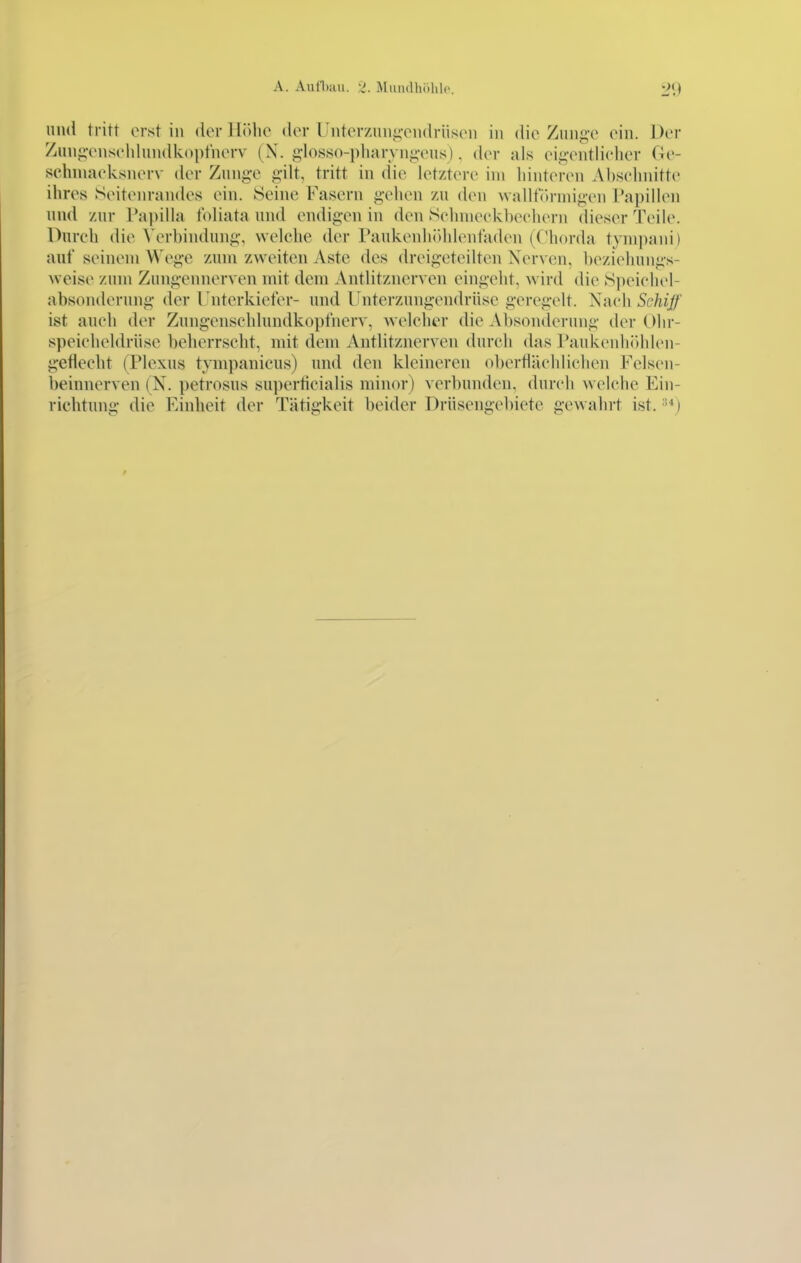 und tritt orst in der llölic der Uiiterzni)i:,-eiidriiseii in die Ziiiigv ein. Der Zuniivnsehlundiv()i)t'nerv (N. glosso-pharvnpnis). der als ei^vntlielier Oe- sehniaeksnerv der Znng-e f^-ilt, tritt in die letztere im hinteren Ahsehnitte ihres Seitenraudes ein. Seine Fasern gehen zu den wallt'(»rniij;-en Papillen und zur Papilla tbliata und endig-en in den Sehnieekheehern dieser Teile. Durch die Wn-hindung, welche der Paukenliöhlentaden ((^horda tynipani) auf seinem Wege zum zweiten Aste des dreigeteilten Nerven, l)eziehungs- weise zum Zungennerven mit dem Antlitznerven eingeht, wird die Speichel- absonderung der Unterkiefer- und linterzungendrüse geregelt. Nach Schijf ist auch der Zungenschlundkopfnerv, welcher die Absonderung der Ohr- speicheldrüse beherrscht, mit dem Aiitlitznerven durch (bis Paukenhöhlen- gefiecht (Plexus tympanicus) und den kleineren obertlächliclien Felseii- beinnerven (N. petrosus superticialis minor) verbunden, durch welche Ein- richtung die Einheit der Tätigkeit beider Drüsengebiete gewahrt ist.