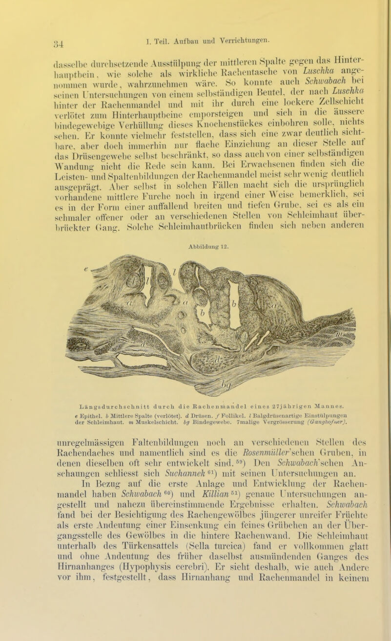 (iMsson)o (hiiTlisetzendo Aiisstiili)un- der niittlciTii Spalte ^e^en das Hinter- lunu.rhnii. wie solche als ^virklielie Raehentaselie von Luschka ang-e- ,i.)ininen wurde, wahr/iuiehnien wäre. So konnte aiicli Sehwabach hex seinen rntersuclmn-en von einem selbständigen Beutel, der nfivh Luschko. hinter der Raehenniandel und mit ihr dureh eine lockere Zellsehicht verli'.tet zum Hinterhauptbeine emporsteig-en und sich in die äussere bindeg-ewel)ige Verhüllung- dieses Knochenstüekes einbohren solle, nielits sehen. Kr konnte vielmehr feststellen, dass sieh eine zwar deutlich sicht- bare, aber doch immerhin mir tlaehe Einziehung- an dieser Stelle auf (Ins Drüsengewebe selbst beschränkt, so dass auch von einer selbständigen Wandunü- nicht die Rede sein kann. ?)ei Erwachsenen linden sich die Leisten-'undSi)alteiibildungen der Rachenmandel meist sehr wenig deutlich ausgeprägt. Aber sen)st in solchen Fällen macht sich die ursprünglich vorhandene mittlere Furche noch in irgend einer Weise Itemerklich, sei es in der Form einer auffallend breiten und tiefen Grube, sei es als ein schmaler offener oder an verschiedeiHm Stellen \u\\ Schleimhaut ül)er- Itrückter (iang. Solche Schleimhautbrückeii finden sich neben anderen Abbildung 12. Längsdiirchschnitt durch d i e B ach e ii in an d el e in e s 2 7 j ü hr i ge n INI a n n es. e Epithel, b Mittlere Spalte (verlötet), d Drüsen. / Follikel, l Balgdrüsenartige Einstülpungen der Schleimhaut, ot Muskelschicht, bg Bindegewebe. Tmalige Vergrösserung (Oangho/ntr). unregelmässigen Falteiibildungen noch an verschiedenen Stellen des Rachendaches und namentlich sind es die Rosenmüller i>r\wn (iruben, in denen dieselben oft sehr entwickelt sind. Den Schwabach'^dien Aii- schaungen schliesst sich Suehannek '^'^) mit seinen l'iitersuchungen an. In Bezug auf die erste Anlage und Entwicklung der Rachen- mandel haben Schuabach ''o) und Killian genaue Fntersuchungen an- gestellt und naliezu übereinstimmende Ergebnisse erhalten. Schwabach fand bei der Besichtigung des Racheiigewölbes jüngerer unreifer Früchte als erste Andeutung einer Einsenkung ein feines fh-übchen an der tlber- gangsstelle des Gewölbes in die hintere Rachen wand. Die Schleimhaut unterhalb des Türkensattels (Sella turcica) fand er vollkommen glatt und ohne Andeutung des früher daselbst ausmündenden Ganges des Hirnanhanges (Hypophysis cerebri). Er sieht deshall), wie auch Andere vor ihm, festgestellt, dass Hirnaiihang und Rachenmandel in keinem