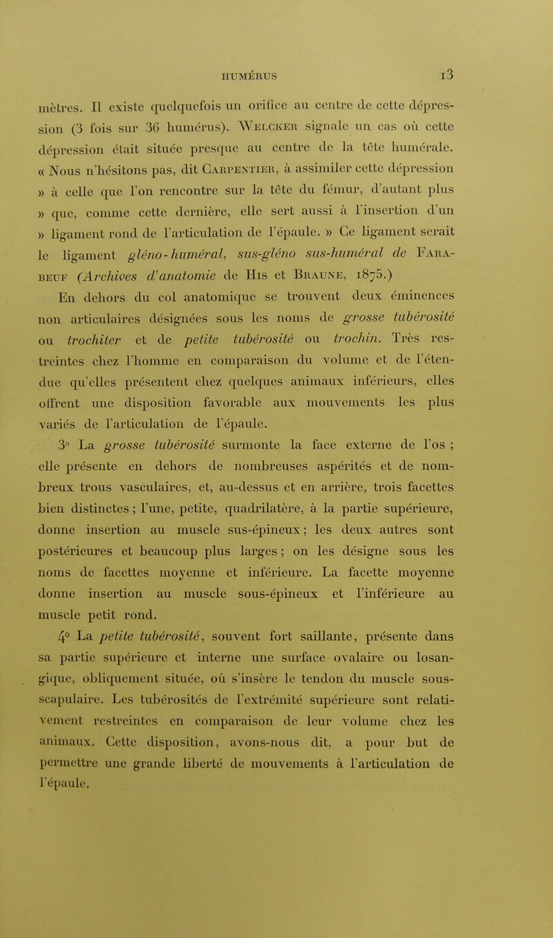 mètres. Il existe quelquefois un orifice au centre de cette dépres- sion (3 fois sur 36 humérus). Welcker signale un cas où cette dépression était située presque au centre de la tête numérale. « Nous n'hésitons pas, dit Carpentier, à assimiler cette dépression » à celle que l'on rencontre sur la tête du fémur, d'autant plus » que, comme cette dernière, elle sert aussi à l'insertion d'un » ligament rond de l'articulation de l'épaule. » Ce ligament serait le ligament gléno-huméral, sus-giéno sus-kuméral de Fara- beuf (Archives d'anatomie de His et Braune, i8?5.) En dehors du col anatomique se trouvent deux éminences non articulaires désignées sous les noms de grosse tubérosité ou trochiter et de petite tubérosité ou trochin. Très res- treintes chez l'homme en comparaison du volume et de l'éten- due qu'elles présentent chez quelques animaux inférieurs, elles offrent une disposition favorable aux mouvements les plus variés de l'articulation de l'épaule. 3° La grosse tubérosité surmonte la face externe de l'os ; elle présente en dehors de nombreuses aspérités et de nom- breux trous vasculaires, et, au-dessus et en arrière, trois facettes bien distinctes ; l'une, petite, quadrilatère, à la partie supérieure, donne insertion au muscle sus-épineux ; les deux autres sont postérieures et beaucoup plus larges ; on les désigne sous les noms de facettes moyenne et inférieure. La facette moyenne donne insertion au muscle sous-épineux et l'inférieure au muscle petit rond. 4° La petite tubérosité, souvent fort saillante, présente dans sa partie supérieure et interne une surface ovalaire ou losan- gique, obliquement située, où s'insère le tendon du muscle sous- scapulaire. Les tubérosités de l'extrémité supérieure sont relati- vement restreintes en comparaison de leur volume chez les animaux. Cette disposition, avons-nous dit, a pour but de permettre une grande liberté de mouvements à l'articulation de l'épaule.