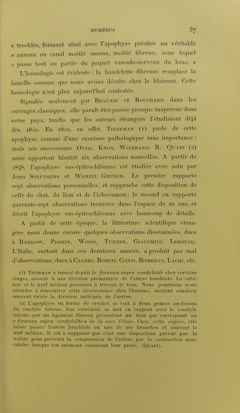 » trochlée, formant ainsi avec l'apophyse précitée un véritable » anneau ou canal moitié osseux, moitié fibreux, sous Lequel » passe tout ou partir du paquet vasculo-ncrveux du bras. » L'homologie est évidente : la bandelette fibreuse remplace la lamelle osseuse que nous avons décrite chez le blaireau. Cette homologie n'est plus aujourd'hui contestée. Signalée seulement par Beaunis et Bouchard dans les ouvrages classiques, elle paraît être passée presque inaperçue dans notre pays, tandis que les auteurs étrangers l'étudiaient déjà dès 1822. En 1822, en effet, Tiedeman (i) parle de cette apophyse, comme d'une exostose pathologique sans importance ; mais ses successeurs Otto, Knox, Wilbrand, R. Quain (2) nous apportent bientôt six observations nouvelles. A partir de 1848, l'apophyse sus-épitrochléenne est étudiée avec soin par John Strutiiers et Wenzel Gruber. Le premier rapporte sept observations personnelles, et rapproche cette disposition de celle du chat, du lion et de l'ichneumon; le second en rapporte quarante-sept observations trouvées dans l'espace de 20 ans, et décrit l'apophyse sus-épitrochléenne avec beaucoup de détails. A partir de cette époque, la littérature scientifique étran- gère nous donne encore quelques observations disséminées, dues à Barkow, Perrin, Wood, Turner, Giacomini, Leboucq. L'Italie, surtout dans ces dernières années, a produit pas mal d'observations, dues à Caeori, Romiti, Gonti, Bombicct, Laciii, etc. (1) TiEDiîM.vN a trouvé depuis le foramen supra condyloïde chez certains singes, associé à une division prématurée de l'artère brachiale. La cubi- tale et le nerf médian passaient à travers le trou. Nous pourrions nous attendre à rencontrer cette circonstance chez l'homme, sachant combien souvent existe la division anticipée de l'artère. (2) L'apophyse en forme de crochet se voit à deux pouces au-dessus du condyle interne. Son extrémité se met en rapport avec le condyle interne, par un ligament fibreux présentant un trou qui correspond au « foramen supra condyloïde » de la race féline. Chez cette espèce, elle laisse passer l'artère brachiale ou une de ses branches et souvent le nerf médian. Il est à supposer que c'est nue disposition prévue par la nature pour prévenir la compression de l'artère par la contraction mus- culaire lorsque ces animaux saisissent leur proie. (Quain).