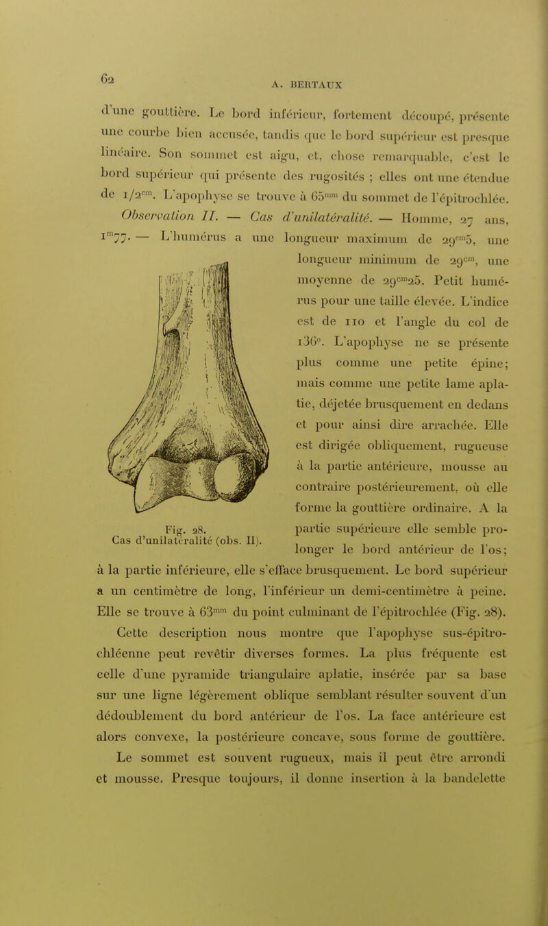 6a A. HEKTAUX iiliifl d une gouttière. Le bord inférieur, fortement découpé, présente une courbe bien accusée, tandis que le bord supérieur est presque linéaire. Son sommet est aigu, et, ebose remarquable, c'est le bord supérieur qui présente des rugosités ; elles ont une étendue de i/2c»\ L'apophyse se trouve à 05» du sommet de 1 epitrochlée. Ob.sc/ra/irj/) II. — Cas d'unilatéralité. — Homme, y; ans. L humérus a une longueur maximum de 2(j'''5, une longueur miniinuin de 20/', une moyenne de 2o,cln25. Petit humé- rus pour une taille élevée. L'indice est de no et l'angle du col de i3G°. L'apopbyse ne se présente plus comme une petite épine; niais comme une petite lame apla- tie, déjetée brusquement en dedans et pour ainsi dire arrachée. Elle est dirigée obliquement, rugueuse à la partie antérieure, mousse au contraire postérieurement, où elle forme la gouttière ordinaire. A la partie supérieure elle semble pro- longer le bord antérieur de l'os; à la partie inférieure, elle s'efface brusquement. Le bord supérieur a un centimètre de long, l'inférieur un demi-centimètre à peine. Elle se trouve à 63mm du point culminant de l'épitrochlée (Fig. 28). Cette description nous montre que l'apophyse sus-épitro- chléenne peut revêtir diverses formes. La plus fréquente est celle d'une pyramide triangulaire aplatie, insérée par sa base sur une ligne légèrement oblique semblant résulter souvent d'un dédoublement du bord antérieur de l'os. La face antérieure est alors convexe, la postérieure concave, sous forme de gouttière. Le sommet est souvent rugueux, mais il peut être arrondi et mousse. Presque toujours, il donne insertion à la bandelette Fi$. 28.