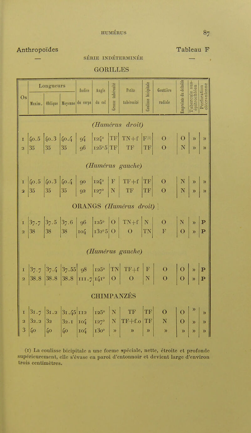 Anthropoïdes Tableau F — SÉRIE INDÉTERMINÉE — GORILLES Longueurs Indice Angle • a> 0 Petite ipitale Gouttière 1 deltoïde! C/3 =! 2 a C 0 c us Maxim. Oblique Moyenne du corps du col Grosse tube luk'rosilé Coulisse bic radiale Empreinte du Tubercule épitrochl Perforât olécranic (Humérus droit) I 40.5 40.3 40.4 94 124° TF TN+f Fi1) O 0 » » 2 35 35 35 96 i25° 5 ÏF TF TF O N » » (Humérus gauche) I 4o.5 4o.3 40.4 90 124° F TF+f TF O N » » 2 35 35 35 92 127° N TF TF O N » » 0RANGS (Humérus droit) I 37.7 37.5 37.6 96 125° O TN+f N O N P 2 38 38 38 104 i32°5 O O TN F O » P (Humérus gauche) I 37.7 37.4 37.55 98 125° TN TF+f F O O » P 2 38.8 38.8 38.8 ni. 7 1410 O O N O O » P CHIMPANZÉS I 31.7 3l.2 3i.45 112 125° N TF TF 0 O » » 2 32.2 32 32.1 104 127° N TF+f.o TF N O » » 3 4o 40 4o 104 i3o° » » » » » » » (1) La coulisse bicipitalc a une forme spéciale, nette, étroite et profonde supérieurement, clic s'évase en paroi d'entonnoir et devient large d'environ trois centimètres.