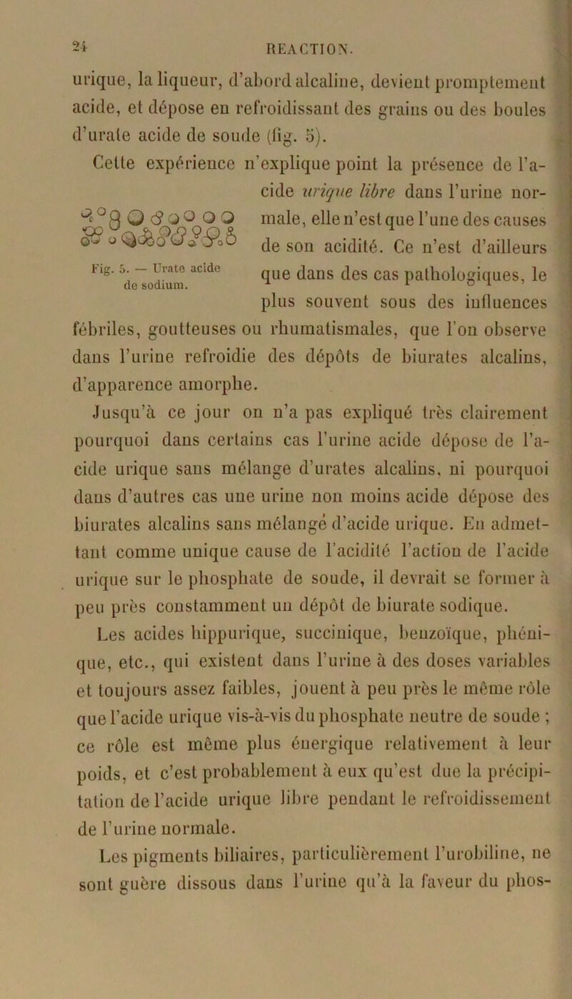 ^°,Q Q <3 Q O OO Fig. 5. — Urate acide de sodium. urique, la liqueur, d’abord alcaline, devient promptement acide, et dépose eu refroidissant des grains ou des boules d’urate acide de soude (lig. 5). Celte expérience n’explique point la présence de l’a- cide urique libre dans l’urine nor- male, elle n’est que l’une des causes de son acidité. Ce n’est d’ailleurs que dans des cas pathologiques, le plus souvent sous des influences fébriles, goutteuses ou rhumatismales, que l’on observe dans l’urine refroidie des dépôts de biurates alcalins, d’apparence amorphe. Jusqu’à ce jour on n’a pas expliqué très clairement pourquoi dans certains cas l’urine acide dépose de l’a- cide urique sans mélange d’urates alcalins, ni pourquoi daus d’autres cas une urine non moins acide dépose des biurates alcalins sans mélangé d'acide urique. En admet- tant comme unique cause de l’acidité l’action de l'acide urique sur le phosphate de soude, il devrait se former à peu près constamment un dépôt de biurate sodique. Les acides hippurique, succinique, benzoïque, pliéui- que, etc., qui existent dans l’urine à des doses variables et toujours assez faibles, jouent à peu près le même rôle que l’acide urique vis-à-vis du phosphate neutre de soude ; ce rôle est même plus énergique relativement à leur poids, et c’est probablement à eux qu’est due la précipi- tation de l’acide urique libre peudaut le refroidissement de l’urine normale. Les pigments biliaires, particulièrement l’urobiline, ne sont guère dissous dans l’urine qu’à la faveur du plios-