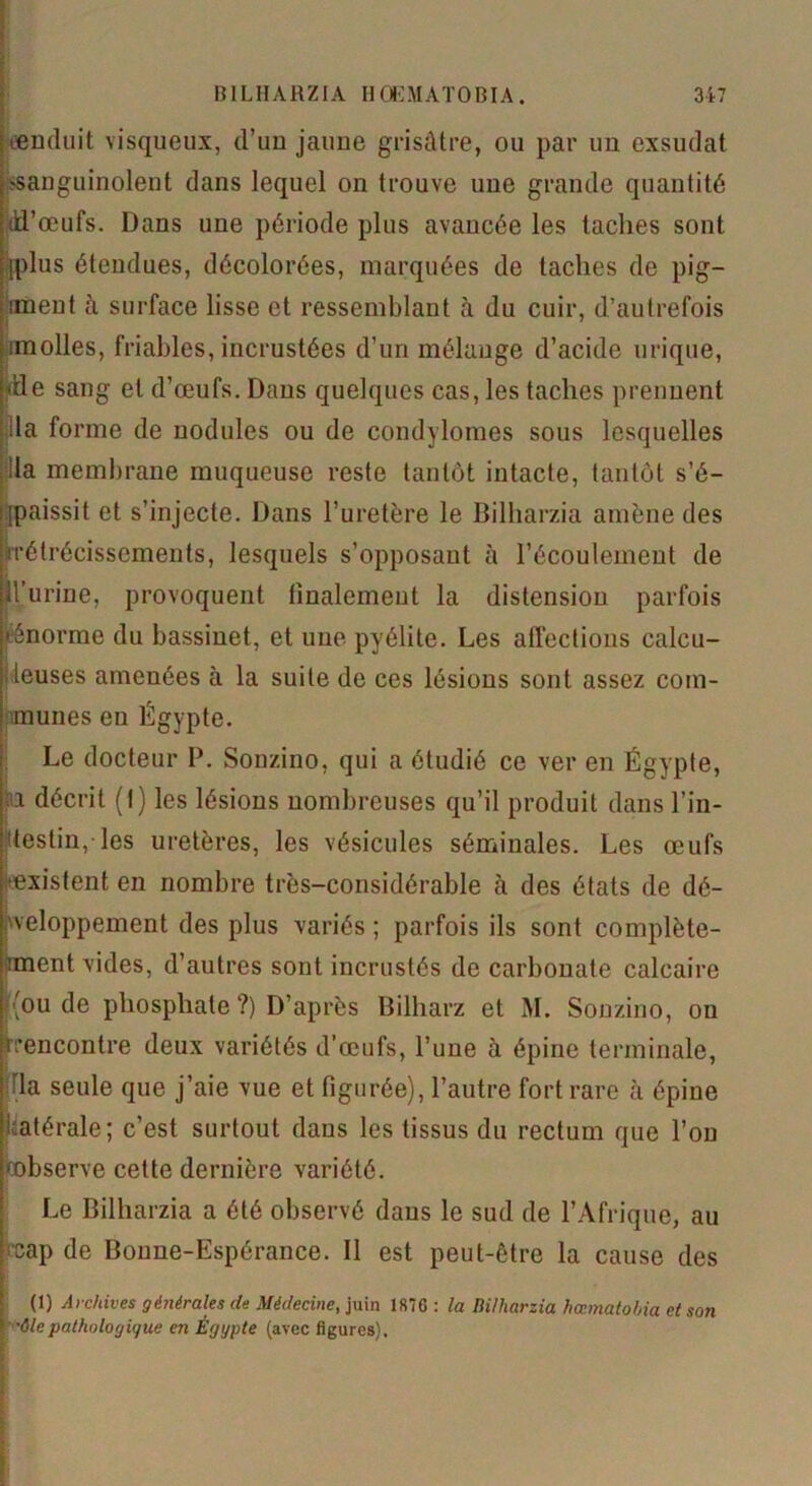 ®nduit visqueux, d’un jaune grisâtre, ou par un exsudât ^sanguinolent dans lequel on trouve une grande quantité (d'œufs. Dans une période plus avancée les taches sont [plus étendues, décolorées, marquées de taches de pig- ment à surface lisse et ressemblant à du cuir, d’autrefois molles, friables, incrustées d’un mélange d’acide urique, ‘de sang et d’œufs. Dans quelques cas, les taches prennent la forme de nodules ou de condylomes sous lesquelles lia membrane muqueuse reste tantôt intacte, tantôt s’é- [paissit et s’injecte. Dans l’uretère le Bilharzia amène des ^rétrécissements, lesquels s’opposant à l’écoulement de (l’urine, provoquent finalement la distension parfois énorme du bassinet, et une pyélite. Les affections calcu- üeuses amenées à la suite de ces lésions sont assez com- munes en Égypte. Le docteur P. Sonzino, qui a étudié ce ver en Égypte, a décrit (I) les lésions nombreuses qu’il produit dans l’in- testin,-les uretères, les vésicules séminales. Les œufs «existent en nombre très-considérable à des états de dé- veloppement des plus variés ; parfois ils sont complète- ment vides, d’autres sont incrustés de carbonate calcaire ({ou de phosphate ?) D’après Bilharz et M. Sonzino, on rencontre deux variétés d’œufs, l’une à épine terminale, 'la seule que j’aie vue et figurée), l’autre fort rare à épine Latérale ; c’est surtout dans les tissus du rectum que l’on ^observe cette dernière variété. Le Bilharzia a été observé dans le sud de l’Afrique, au vap de Bonne-Espérance. II est peut-être la cause des (1) Archives générales de Médecine, juin 1876 : la Bilharzia hœmatobia et son '6lepathologique en Égypte (avec figures).