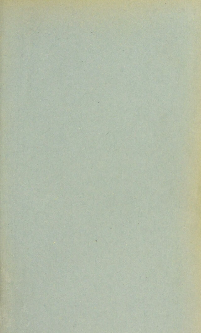 digitised image 3