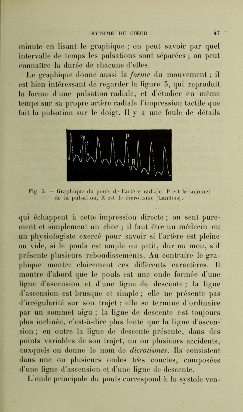 minute en lisant le graphique ; on peut savoir par quel intervalle de temps les pulsations sont séparées ; on peut connaître la durée de chacune d’elles. Le graphique donne aussi la forme du mouvement ; il est bien intéressant de regarder la figure 5, qui reproduit la forme d’une pulsation radiale, et d’étudier en même temps sur sa propre artère radiale l’impression tactile que fait la pulsation sur le doigt. 11 y a une foule de détails Fig. 5. — Graphique du pouls de* l’ar 1ère radiale. P est le sommet de la pulsation, R est le dicrotismc (Landois). qui échappent à cette impression directe ; on sent pure- ment et simplement un choc ; il faut être un médecin ou un physiologiste exercé pour savoir si l’artère est pleine ou vide, si le pouls est ample ou petit, dur ou mou, s’il présente plusieurs rebondissements. Au contraire le gra- phique montre clairement ces différents caractères. 11 montre d’abord que le pouls est une onde formée d’une ligne d’ascension et d’une ligne de descente ; la ligne d’ascension est brusque et simple ; elle ne présente pas d’irrégularité sur son trajet ; elle se termine d’ordinaire par un sommet aigu ; la ligne de descente est toujours plus inclinée, c’est-à-dire plus lente que la ligne d’ascen- sion ; en outre la ligne de descente présente, dans des points variables de son trajet, un ou plusieurs accidents, auxquels on donne le nom de dicrotismes. Ils consistent dans une ou plusieurs ondes très courtes, composées d’une ligne d’ascension et d’une ligne de descente. L’onde principale du pouls correspond à la systole ven-