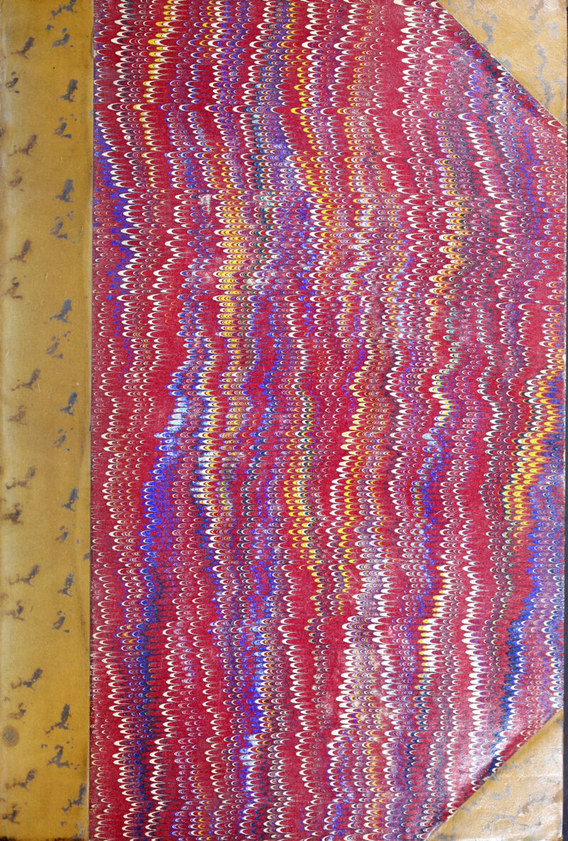 No text description is available for this image