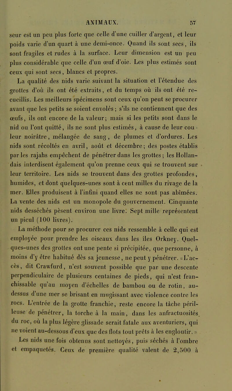 seur est un peu plus forle que celle d'une cuiller d'argent, et leur poids varie d'un quart à une demi-once. Quand ils sont secs, ils sont fragiles et rudes à la surface. Leur dimension est un peu plus considérable que celle d'un œuf d'oie. Les plus estimés sont ceux qui sont secs, blancs et propres. La qualité des nids varie suivant la situation et l'étendue des grottes d'où ils ont été extraits, et du temps ovi ils ont été re- cueillis. Les meilleurs spécimens sont ceux qu'on peut se procurer avant que les petits se soient envolés ; s'ils ne contiennent que des œufs, ils ont encore de la valeur; mais si les petits sont dans le nid ou l'ont quitté, ils ne sont plus estimés, à cause de leur cou ■ leur noirâtre, mélangée de sang, de plumes et d'ordures. Les nids sont récoltés en avril, août et décembre; des postes établis par les rajahs empêchent de pénétrer dans les grottes ; les Hollan- dais interdisent également qu'on prenne ceux qui se trouvent sur leur territoire. Les nids se trouvent dans des grottes profondes, humides, et dont quelques-unes sont à cent milles du rivage de la mer. Elles produisent à l'inGni quand elles ne sont pas abîmées. La vente des nids est un monopole du gouvernement. Cinquante nids desséchés pèsent environ une livre. Sept mille représentent un picul (100 livres). La méthode pour se procurer ces nids ressemble à celle qui est employée pour prendre les oiseaux dans les îles Orkney. Quel- ques-unes des grottes ont une pente si précipitée, que personne, à moins d'y être habitué dès sa jeunesse, ne peut y pénétrer. «L'ac- cès, dit Crawfurd, n'est souvent possible que par une descente perpendiculaire de plusieurs centaines de pieds, qui n'est fran- chissable qu'au moyen d'échelles de bambou ou de rotin, au- dessus d'une mer se brisant en mugissant avec violence contre les rocs. L'entrée de la grotte franchie, reste encore la tâche péril- leuse de pénétrer, la torche à la main, dans les anfractuosités du roc, oîi lapins légère glissade serait fatale aux aventuriers, qui ne voient au-dessous d'eux que des flots tout prêts à les engloutir. •-> Les nids une fois obtenus sont nettoyés, puis séchés à l'ombre et empaquetés. Ceux de première qualité valent de 2,500 à