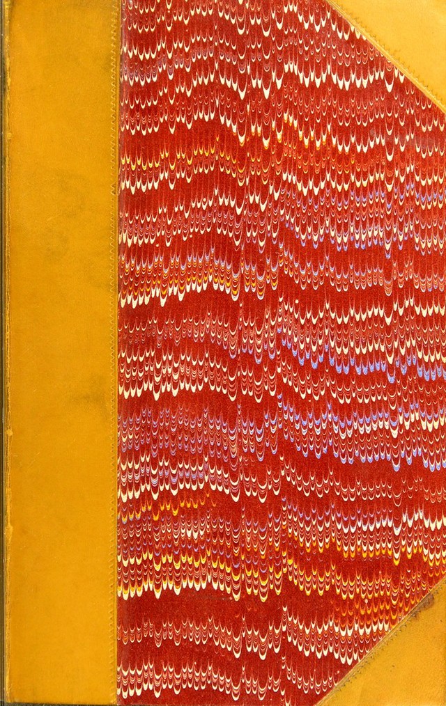 No text description is available for this image