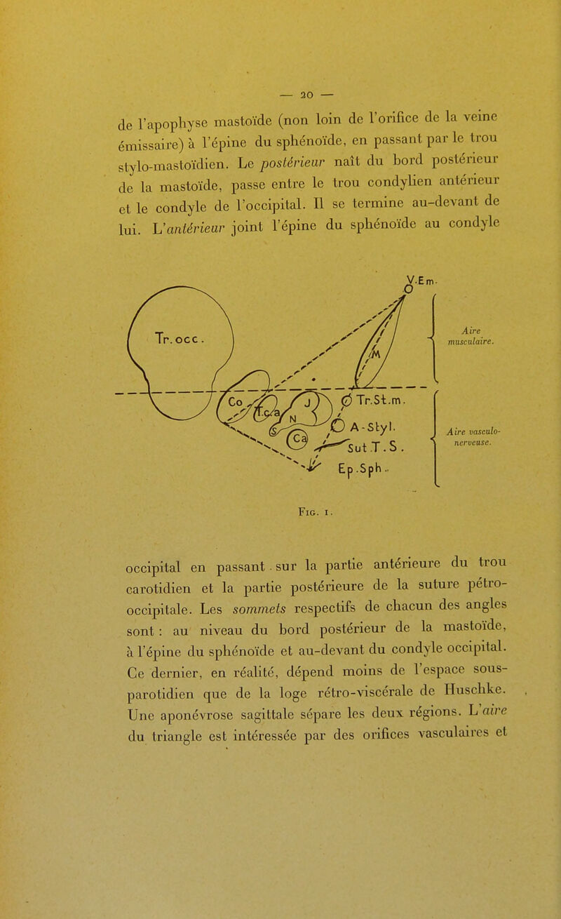 — 30 — de l'apophyse mastoïde (non loin de l'orifice de la veine émissaire) à l'épine du sphénoïde, en passant par le trou stylo-mastoïdien. Le postérieur naît du bord postérieur de la mastoïde, passe entre le trou condylien antérieur et le condyle de l'occipital. Il se termine au-devant de lui. L'antérieur joint l'épine du sphénoïde au condyle FiG. I. occipital en passant sur la partie antérieure du trou carotidien et la partie postérieure de la suture pétro- occipitale. Les sommets respectifs de chacun des angles sont : au niveau du bord postérieur de la mastoïde, à l'épine du sphénoïde et au-devant du condyle occipital. Ce dernier, en réahté, dépend moins de l'espace sous- parotidien que de la loge rétro-viscérale de Huschke. Une aponévrose sagittale sépare les deux régions. L'aire du triangle est intéressée par des orifices vasculaires et