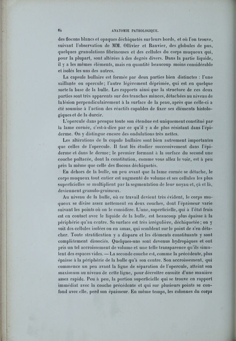 des flocons blancs et opaques déchiquetés sur leurs bords, et où l’on trouve, suivant l’observation de MM. Ollivier et Ranvier, des globules de pus, quelques granulations fibrineuses et des cellules du corps muqueux qui, pour la plupart, sont altérées à des degrés divers. Dans la partie liquide, il y a les mêmes éléments, mais en quantité beaucoup moins considérable et isolés les uns des autres. La capsule bullaire est formée par deux parties bien distinctes : l’une saillante ou opercule; l’autre légèrement déprimée, qui est en quelque sorte la base de la bulle. Les rapports ainsi que la structure de ces deux parties sont très apparents sur des tranches minces, détachées au niveau de la lésion perpendiculairement à la surface de la peau, après que celle-ci a été soumise à l’action des réactifs capables de fixer ses éléments histolo- giques et de la durcir. L’opercule dans presque toute son étendue est uniquement constitué par la lame cornée, c’est-à-dire par ce qu’il y a de plus résistant dans l’épi- derme. On y distingue encore des ondulations très nettes. Les altérations de la cupule bullaire sont bien autrement importantes que celles de l’opercule. 11 faut lés étudier successivement dans l’épi- derme et dans le derme; le premier formant à la surface du second une couche pultacée, dont la constitution, comme vous allez le voir, est à peu près la même que celle des flocons déchiquetés. En dehors de la bulle, un peu avant que la lame cornée se détache, le corps muqueux tout entier est augmenté de volume et ses cellules les plus superficielles se multiplient par la segmentation de leur noyau et, çà et là, deviennent granulo-graisseux. Au niveau de la bulle, où ce travail devient très évident, le corps mu- queux se divise assez nettement en deux couches, dont l’épaisseur varie suivant les points où on le considère. L’une, superficielle, qui à l’état frais est en contact avec le liquide de la bulle, est beaucoup plus épaisse à la périphérie qu’au centre. Sa surface est très irrégulière, déchiquetée; on y voit des cellules isolées ou en amas, qui semblent sur le point de s’en déta- cher. Toute stratification y a disparu et les éléments constituants y sont complètement dissociés. Quelques-uns sont devenus hydropiques et ont pris un tel accroissement de volume et une telle transparence qu’ils simu- lent des espaces vides. — La seconde couche est, comme la précédente, plus épaisse à la périphérie de la bulle qu’à son centre. Son accroissement, qui commence un peu avant la ligne de séparation de l’opercule, atteint son maximum au niveau de cette ligne, pour décroître ensuite d’une manière assez rapide. Peu à peu, la portion superficielle qui se trouve en rapport immédiat avec la couche précédente et qui sur plusieurs points se con- fond avec elle, perd son épaisseur. En même temps, les colonnes du corps