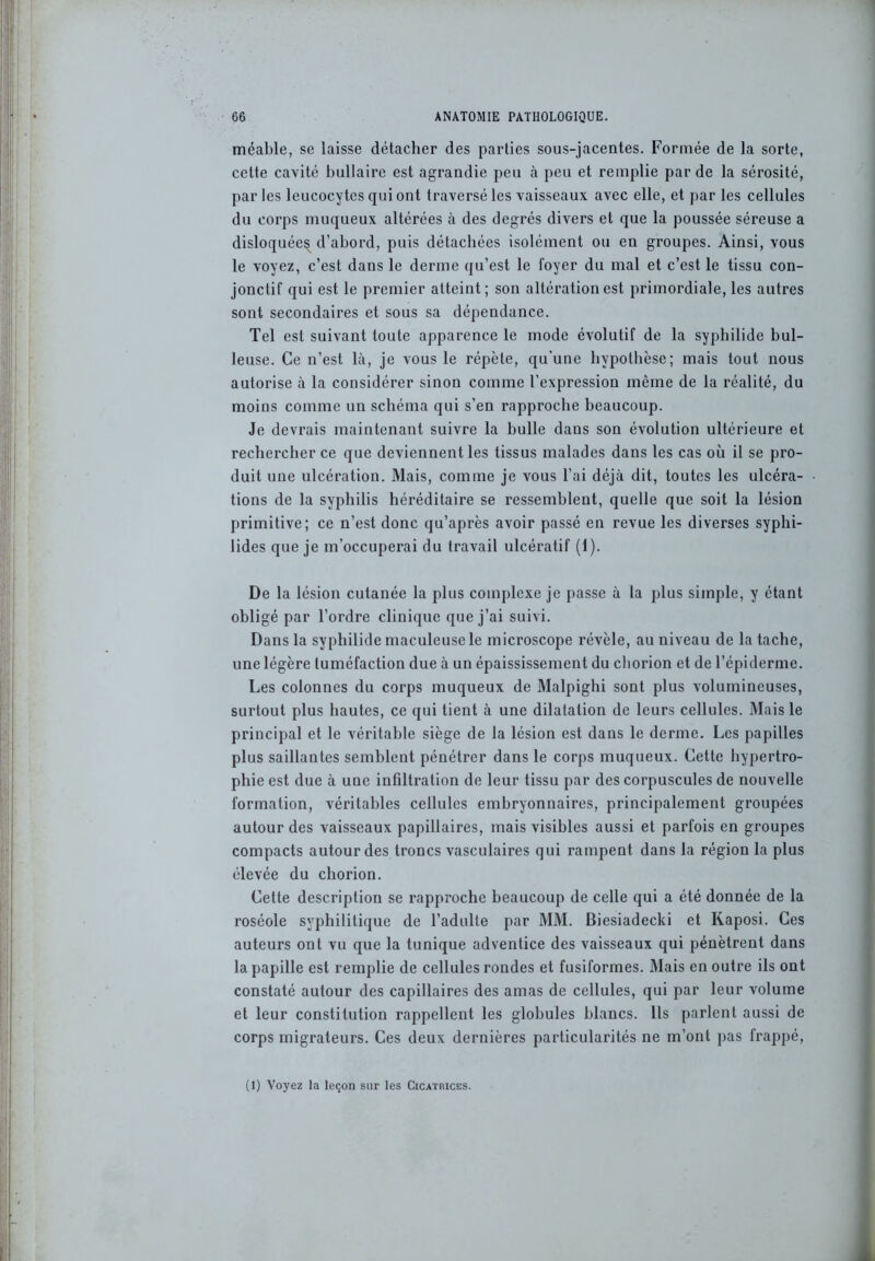 méable, se laisse détacher des parties sous-jacentes. Formée de la sorte, cette cavité bullairc est agrandie peu à peu et remplie par de la sérosité, par les leucocytes qui ont traversé les vaisseaux avec elle, et par les cellules du corps muqueux altérées à des degrés divers et que la poussée séreuse a disloquées d’abord, puis détachées isolément ou en groupes. Ainsi, vous le voyez, c’est dans le derme qu’est le foyer du mal et c’est le tissu con- jonctif qui est le premier atteint; son altération est primordiale, les autres sont secondaires et sous sa dépendance. Tel est suivant toute apparence le mode évolutif de la syphilide bul- leuse. Ce n’est là, je vous le répète, qu'une hypothèse; mais tout nous autorise à la considérer sinon comme l’expression même de la réalité, du moins comme un schéma qui s’en rapproche beaucoup. Je devrais maintenant suivre la bulle dans son évolution ultérieure et rechercher ce que deviennent les tissus malades dans les cas où il se pro- duit une ulcération. Mais, comme je vous l’ai déjà dit, toutes les ulcéra- tions de la syphilis héréditaire se ressemblent, quelle que soit la lésion primitive; ce n’est donc qu’après avoir passé en revue les diverses syphi- lides que je m’occuperai du travail ulcératif (1). De la lésion cutanée la plus complexe je passe à la plus simple, y étant obligé par l’ordre clinique que j’ai suivi. Dans la syphilide maculeuse le microscope révèle, au niveau de la tache, une légère tuméfaction due à un épaississement du chorion et de l’épiderme. Les colonnes du corps muqueux de Malpighi sont plus volumineuses, surtout plus hautes, ce qui tient à une dilatation de leurs cellules. Mais le principal et le véritable siège de la lésion est dans le derme. Les papilles plus saillantes semblent pénétrer dans le corps muqueux. Cette hypertro- phie est due à une infiltration de leur tissu par des corpuscules de nouvelle formation, véritables cellules embryonnaires, principalement groupées autour des vaisseaux papillaires, mais visibles aussi et parfois en groupes compacts autour des troncs vasculaires qui rampent dans la région la plus élevée du chorion. Cette description se rapproche beaucoup de celle qui a été donnée de la roséole syphilitique de l’adulte par MM. Biesiadecki et Kaposi. Ces auteurs ont vu que la tunique adventice des vaisseaux qui pénètrent dans la papille est remplie de cellules rondes et fusiformes. Mais en outre ils ont constaté autour des capillaires des amas de cellules, qui par leur volume et leur constitution rappellent les globules blancs. Ils parlent aussi de corps migrateurs. Ces deux dernières particularités ne m’ont pas frappé, (1) Voyez la leçon sur les Cicatrices.