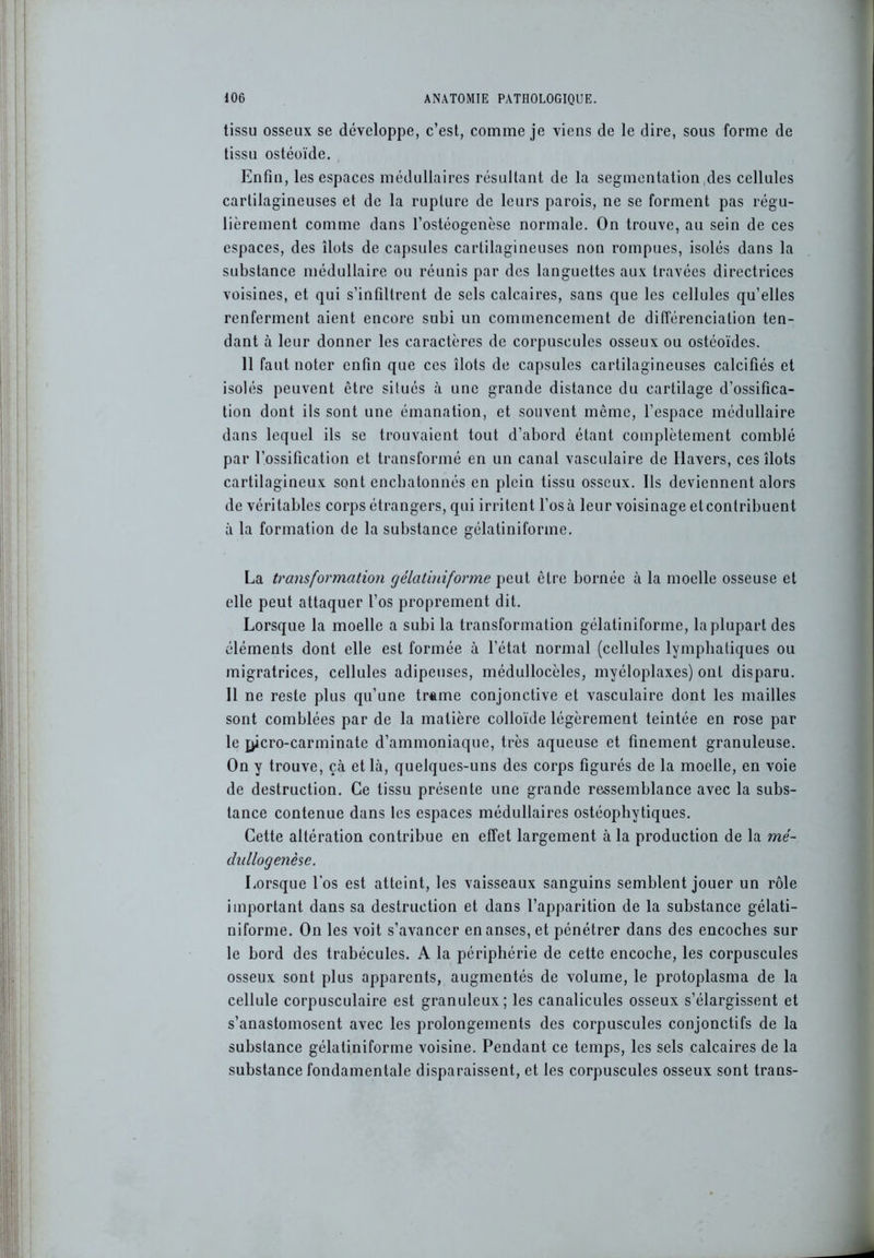 tissu osseux se développe, c’est, comme je viens de le dire, sous forme de tissu ostéoïde. Enfin, les espaces médullaires résultant de la segmentation des cellules cartilagineuses et de la rupture de leurs parois, ne se forment pas régu- lièrement comme dans l’ostéogenèse normale. On trouve, au sein de ces espaces, des îlots de capsules cartilagineuses non rompues, isolés dans la substance médullaire ou réunis par des languettes aux travées directrices voisines, et qui s’infiltrent de sels calcaires, sans que les cellules qu’elles renferment aient encore subi un commencement de différenciation ten- dant à leur donner les caractères de corpuscules osseux ou ostéoïdes. 11 faut noter enfin que ces îlots de capsules cartilagineuses calcifiés et isolés peuvent être situés à une grande distance du cartilage d’ossifica- tion dont ils sont une émanation, et souvent même, l’espace médullaire dans lequel ils se trouvaient tout d’abord étant complètement comblé par l’ossification et transformé en un canal vasculaire de Ilavers, ces îlots cartilagineux sont enebatonnés en plein tissu osseux. Ils deviennent alors de véritables corps étrangers, qui irritent l’osà leur voisinage etcontribuent à la formation de la substance gélatiniforine. La transformation gélatiniforine peut être bornée à la moelle osseuse et elle peut attaquer l’os proprement dit. Lorsque la moelle a subi la transformation gélatiniforine, la plupart des éléments dont elle est formée à l’état normal (cellules lymphatiques ou migratrices, cellules adipeuses, médullocèles, myéloplaxes) ont disparu. Il ne reste plus qu’une trame conjonctive et vasculaire dont les mailles sont comblées par de la matière colloïde légèrement teintée en rose par le i>icro-carminate d’ammoniaque, très aqueuse et finement granuleuse. On y trouve, çà et là, quelques-uns des corps figurés de la moelle, en voie de destruction. Ce tissu présente une grande ressemblance avec la subs- tance contenue dans les espaces médullaires ostéophytiques. Cette altération contribue en effet largement à la production de la mé- dullogenèse. Lorsque l’os est atteint, les vaisseaux sanguins semblent jouer un rôle important dans sa destruction et dans l’apparition de la substance gélati- niforme. On les voit s’avancer en anses, et pénétrer dans des encoches sur le bord des trabécules. A la périphérie de celte encoche, les corpuscules osseux sont plus apparents, augmentés de volume, le protoplasma de la cellule corpusculaire est granuleux; les canalicules osseux s’élargissent et s’anastomosent avec les prolongements des corpuscules conjonctifs de la substance gélatiniforine voisine. Pendant ce temps, les sels calcaires de la substance fondamentale disparaissent, et les corpuscules osseux sont trans-