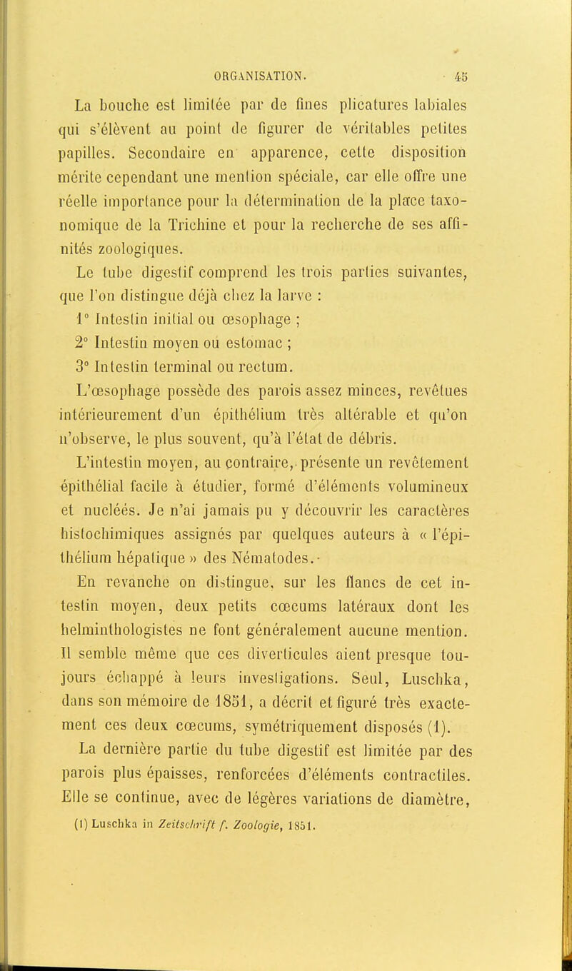 La bouche est limitée par de fines plicatures labiales qui s'élèvent au point de figurer de véritables petites papilles. Secondaire en apparence, cette disposition mérite cependant une rnenlion spéciale, car elle offre une réelle importance pour la détermination de la place taxo- nomique de la Trichine et pour la recherche de ses affi- nités zoologiques. Le tube digestif comprend les trois parlies suivantes, que l'on distingue déjà cbez la larve : 1° Intestin initial ou œsophage ; 2° Intestin moyen ou estomac ; 3° Intestin terminal ou rectum, L'œsopbage possède des parois assez minces, revêtues intérieurement d'un épithélium très altérable et qu'on n'observe, le plus souvent, qu'à l'état de débris. L'intestin moyen, au contraire,-présente un revêtement épithélial facile à étudier, formé d'éléments volumineux et nucléés. Je n'ai jamais pu y découviir les caractèi'cs hisfochimiques assignés par quelques auteurs à « l'épi- théliura hépatique » des Nématodes.- En revanche on distingue, sur les flancs de cet in- testin moyen, deux petits cœcums latéraux dont les helminthologistes ne font généralement aucune mention. Il semble même que ces diverticules aient presque tou- jours échappé à leurs invesligations. Seul, Luschka, dans son mémoire de 18S1, a décrit et figuré très exacte- ment ces deux cœcums, symétriquement disposés (1). La dernière partie du tube digestif est limitée par des parois plus épaisses, renforcées d'éléments contractiles. Elle se continue, avec de légères variations de diamètre, (I) Luschka in Zdlschrift f. Zoologie, 1851.