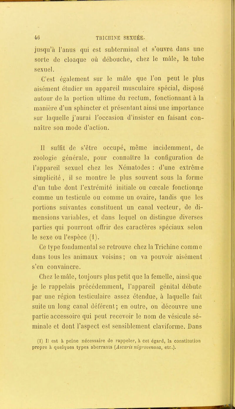 jusqu'à l'anus qui est subtermiiial et s'ouvre dans une sorte de cloaque où débouche, chez le mâle, le tube sexuel. C'est également sur le mâle que l'on peut le plus aisément étudier un appareil musculaire spécial, disposé autour de la portion ultime du rectum, fonctionnant à la manière d'un sphincter et présentant ainsi une importance sur laquelle j'aurai Toccasion d'insister en faisant con- naître son mode d'action. Il suffit de s'être occupé, même incidemment, de zoologie générale, pour connaître la configuration de l'appareil sexuel chez les Nématodes : d'une extrême simplicité, il se montre le plus souvent sous la forme d'un tube dont l'extrémité initiale ou cœcale fonctionne comme un testicule ou comme un ovaire, tandis que les portions suivantes constituent un canal vecteur, de di- mensions vaiiables, et dans lequel on distingue diverses parties qui pourront offrir des caractères spéciaux selon le sexe ou l'espèce (1). Ce type fondamental se retrouve chez la Trichine comme dans tous les animaux voisins ; on va pouvoir aisément s'en convaincre. Chez le mâle, toujours plus petit que la femelle, ainsi que je le rappelais précédemment, l'appareil génital débute par une région testiculaire assez étendue, à laquelle fait suite un long canal déférent; en outre, on découvre une partie accessoire qui peut recevoir le nom de vésicule sé- minale et dont l'aspect est sensiblement claviforme. Dans (1) Il est à peine nécessaire de rappeler, à cet égard, la constitution propre à quelques types aberrants {Asca7'is nigrovtnosa, etc.).