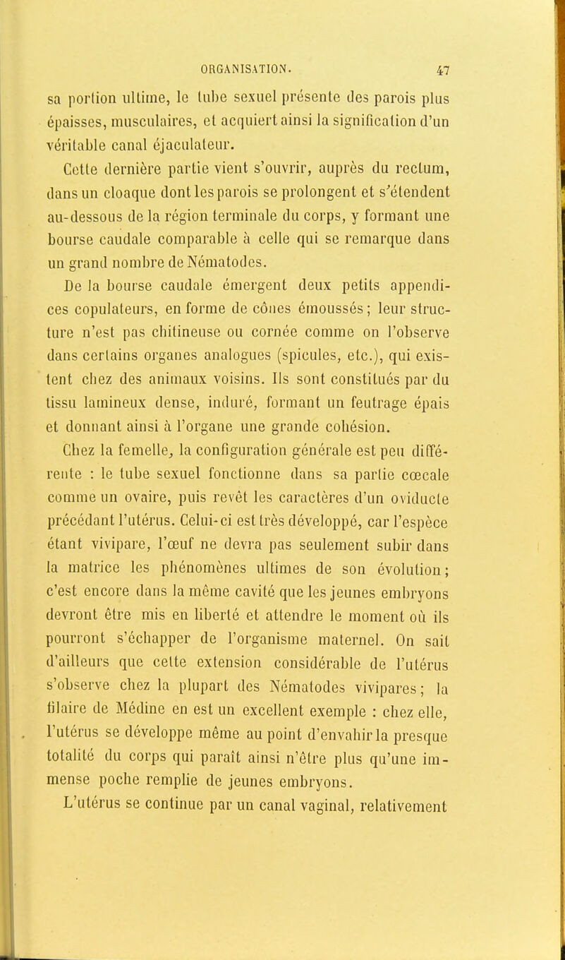 sa portion ullirne, le Uibe sexuel présente des parois plus épaisses, musculaires, et acquiert ainsi la signification d'un véritable canal éjaculateur. Cette dernière partie vient s'ouvrir, auprès du rectum, dans un cloaque dont les parois se prolongent et s'étendent au-dessous de la région terminale du corps, y formant une bourse caudale comparable à celle qui se remarque dans un grand nombre de Nématodes. De la bourse caudale émergent deux petits appendi- ces copulateurs, en forme de cônes émoussés; leur struc- ture n'est pas cbitineuse ou cornée comme on l'observe dans certains organes analogues (spicules, etc.), qui exis- tent chez des animaux voisins. Ils sont constitués par du tissu laraineux dense, induré, formant un feutrage épais et donnant ainsi à l'organe une grande cohésion. Chez la femelle^ la configuration générale est peu diffé- rente : le tube sexuel fonctionne dans sa partie cœcale comme un ovaire, puis revêt les caractères d'un oviducte précédant l'utérus. Celui-ci est très développé, car l'espèce étant vivipare, l'œuf ne devra pas seulement subir dans la matrice les phénomènes ultimes de son évolution; c'est encore dans la même cavité que les jeunes embryons devront être mis en liberté et attendre le moment où ils pourront s'échapper de l'organisme maternel. On sait d'ailleurs que celte extension considérable de l'utérus s'observe chez la plupart des Nématodes vivipares; la lilaire de Médine en est un excellent exemple : chez elle, l'utérus se développe même au point d'envahir la presque totalité du corps qui paraît ainsi n'être plus qu'une im- mense poche remplie de jeunes embryons. L'utérus se continue par un canal vaginal, relativement