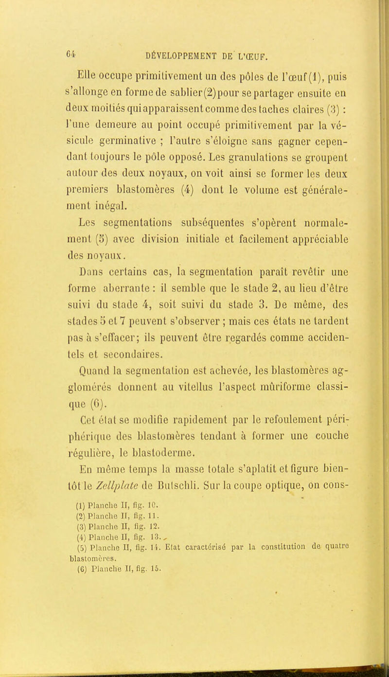 Elle occupe primitivement un des pôles de l'œuf (1), puis s'allonge en forme de sal)lier(2)pour se partager ensuite en deux moitiés qui apparaissent comme des taches claires (3) : l'une demeure au point occupé primilivement par la vé- sicule germinative ; l'autre s'éloigne sans gagner cepen- dant toujours le pôle opposé. Les granulations se groupent autour des deux noyaux, on voit ainsi se former les deux premiers blastomères (4) dont le volume est générale- ment inégal. Les segmentations subséquentes s'opèrent normale- ment (5) avec division initiale et facilement appréciable des noyaux. Dans certains cas, la segmentation paraît revêtir une forme aberrante : il semble que le stade 2, au lieu d'être suivi du stade 4, soit suivi du stade 3. De même, des stades 5 et 7 peuvent s'observer ; mais ces états ne tardent pas à s'effacer; ils peuvent être regardés comme acciden- tels et secondaires. Quand la segmentalion est achevée, les blastomères ag- glomérés donnent au vitellus l'aspect mûriforme classi- que (6). Cet élat se modifie rapidement par le refoulement péri- phérique des blastomères tendant à former une couche régulière, le blastoderme. En même temps la masse totale s'aplatit et figure bien- tôt le Zellplate de Buischli. Sur la coupe optique, on cons- (1) Planche II, fig. 10. (2) Planche II, fig. 11. (3) Planche II, fig. 12. (4) Planclie II, fig. 13.. (5) Planche II, fig. l i. E(at caractérisé par la constitution de quatre blastomères.