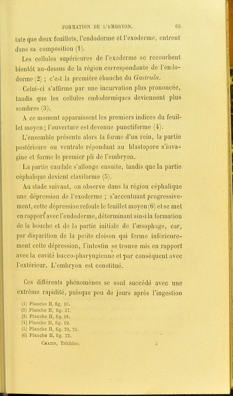 laie que deux feuillets, l'endoderme et l'exodermc, entrent dans sa composition (1). Les cellules supérieures de l'exoderme se recourbent bientôt au-dessus de la région correspondante de l'endo- derme (2) ; c'est la première ébauche du Gastrula. Celui-ci s'affirme par une incurvation plus prononcée, tandis que les cellules endodermiques deviennent plus sombres (3). A ce moment apparaissent les premiers indices du feuil- let moyen; l'ouverture est devenue punctiforme (4). L'ensemble présente alors la forme d'un rein, la partie postérieure ou ventrale répondant au blastopore s'iuva- gine et forme le premier pli de l'embryon. La partie caudale s'allonge ensuite, tandis que la partie céphalique devient claviforme (o). Au stade suivant, on observe dans la région céphalique une dépression de l'exoderme ; s'accentuant progressive- ment, cette dépression refoule le feuillet moyen (6) et se met en rapporfavec l'endoderme, déterminant ainsi la formation de la bouche et de la partie initiale de l'œsophage, car, par disparition de la petite cloison qui ferme intérieure- ment cette dépression, l'intestin se trouve mis en rapport avec la cavité bucco-pharyngienne et par conséquent avec l'extérieur. L'embryon est constitué. Ces différents phénomènes se sont succédé avec une extrême rapidité, puisque peu de jours après l'ingestion (1) Planche II, Kg. 10. (2) Planche II, fig. 17. (3) Planche II, fig. 18. (4) Planche II, fig. 19. (5) Planche II, fig. 20, 21. (G) Planche II, lig. 22. Chatin, Trichine. ù