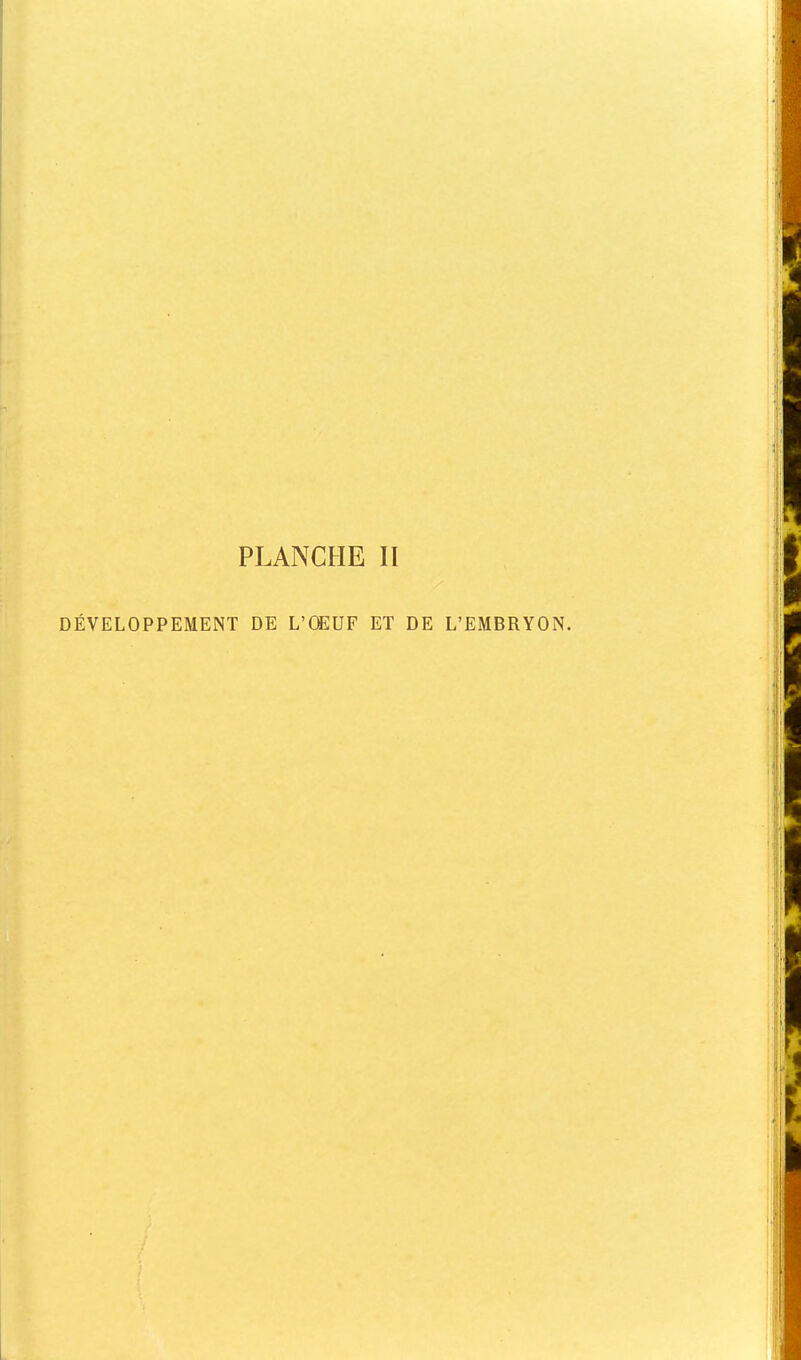 PLANCHE II DÉVELOPPEMENT DE L'ŒUF ET DE L'EMBRYON.