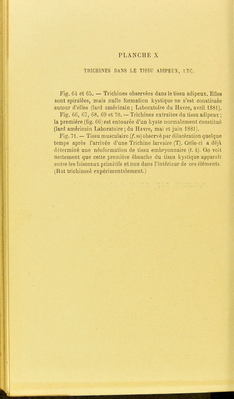 TRICHINES DANS LE TISSU ADIPEUX, l.TC. Fig. 64 et 65, — Trichines observées dans le tissu adipeux. Elles sont spiraiées, mais nulle formation kystique ne s'est constituée autour d'elles (lard américain; Laboratoire du Havre, avril 1881). Fig, 66, 67, 68, 69 et 70. — Trichines extraites du tissu adipeux ; la première (Gg. 60) est entourée d'un kyste normalement constitué (lard américain Laboratoire ; du Havre, mai et juin 1881). Fig. 71. — Tissu musculaire (/■.??i) observé par dilacération quelque temps après l'arrivée d'une Trichine larvaire (T). Celle-ci a déjà déterminé une néoformation de tissu embryonnaire {t. k). On voit nettement que cette première ébauche du tissu kystique apparaît entre les faisceaux primitifs et non dans l'intérieur de ces éléments.