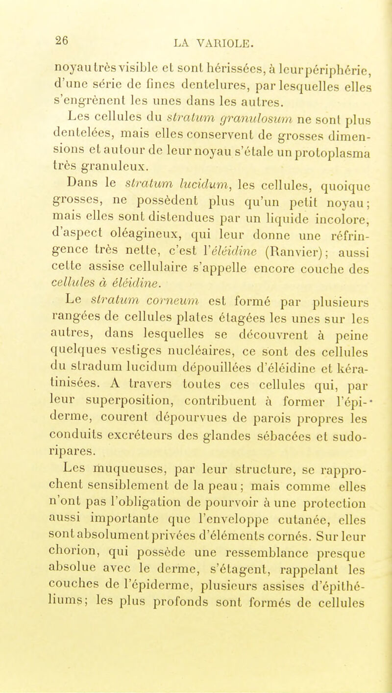 noyau très visible et sont hérissées, à Icurpériphérie, d'une série de fines dentelures, par lesquelles elles s'engrènent les unes dans les autres. Les cellules du stralum granulosum ne sont plus dentelées, mais elles conservent de grosses dimen- sions et autour de leur noyau s'étale unprotoplasraa très granuleux. Dans le stratum htcidum, les cellules, quoique grosses, ne possèdent plus qu'un petit noyau; mais elles sont distendues par un liquide incolore, d'aspect oléagineux, qui leur donne une réfrin- gence très nette, c'est Véléidine (Ranvier); aussi cette assise cellulaire s'appelle encore couche des cellules à éléidine. Le slratum corneum est formé par plusieurs rangées de cellules plates étagées les unes sur les autres, dans lesquelles se découvrent à peine quelques vestiges nucléaires, ce sont des cellules du stradum lucidum dépouillées d'éléidine et kéra- tinisées. A travers toutes ces cellules qui, par leur superposition, contribuent à former l'épi-- derme, courent dépourvues de parois propres les conduits excréteurs des glandes sébacées et sudo- ripares. Les muqueuses, par leur structure, se rappro- chent sensiblement de la peau ; mais comme elles n'ont pas l'obligation de pourvoir aune protection aussi importante que l'enveloppe cutanée, elles sont absolument privées d'éléments cornés. Sur leur chorion, qui possède une ressemblance presque absolue avec le derme, s'étagent, rappelant les couches de l'épiderme, plusieurs assises d'épithé- liums; les plus profonds sont formés de cellules
