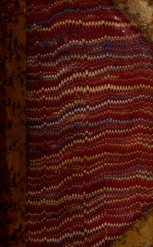 No text description is available for this image