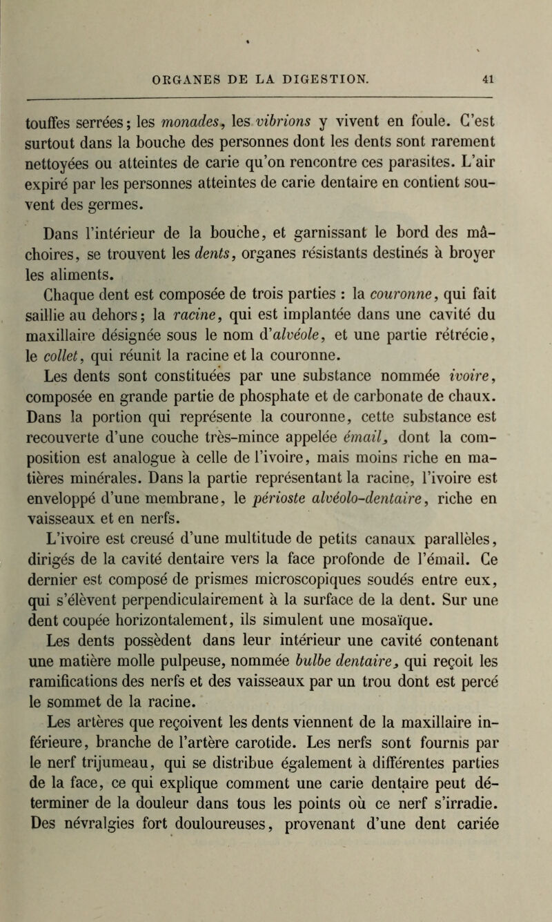 touffes serrées; les monades, les .vibrions y vivent en foule. C’est surtout dans la bouche des personnes dont les dents sont rarement nettoyées ou atteintes de carie qu’on rencontre ces parasites. L’air expiré par les personnes atteintes de carie dentaire en contient sou- vent des germes. Dans l’intérieur de la bouche, et garnissant le bord des mâ- choires, se trouvent les dents, organes résistants destinés à broyer les aliments. Chaque dent est composée de trois parties : la couronne, qui fait saillie au dehors; la racine, qui est implantée dans une cavité du maxillaire désignée sous le nom d'alvéole, et une partie rétrécie, le collet, qui réunit la racine et la couronne. Les dents sont constituées par une substance nommée ivoire, composée en grande partie de phosphate et de carbonate de chaux. Dans la portion qui représente la couronne, cette substance est recouverte d’une couche très-mince appelée émail, dont la com- position est analogue à celle de l’ivoire, mais moins riche en ma- tières minérales. Dans la partie représentant la racine, l’ivoire est enveloppé d’une membrane, le périoste alvéolo-dentaire, riche en vaisseaux et en nerfs. L’ivoire est creusé d’une multitude de petits canaux parallèles, dirigés de la cavité dentaire vers la face profonde de l’émail. Ce dernier est composé de prismes microscopiques soudés entre eux, qui s’élèvent perpendiculairement à la surface de la dent. Sur une dent coupée horizontalement, ils simulent une mosaïque. Les dents possèdent dans leur intérieur une cavité contenant une matière molle pulpeuse, nommée bulbe dentaire, qui reçoit les ramifications des nerfs et des vaisseaux par un trou dont est percé le sommet de la racine. Les artères que reçoivent les dents viennent de la maxillaire in- férieure, branche de l’artère carotide. Les nerfs sont fournis par le nerf trijumeau, qui se distribue également à différentes parties de la face, ce qui explique comment une carie dentaire peut dé- terminer de la douleur dans tous les points où ce nerf s’irradie. Des névralgies fort douloureuses, provenant d’une dent cariée