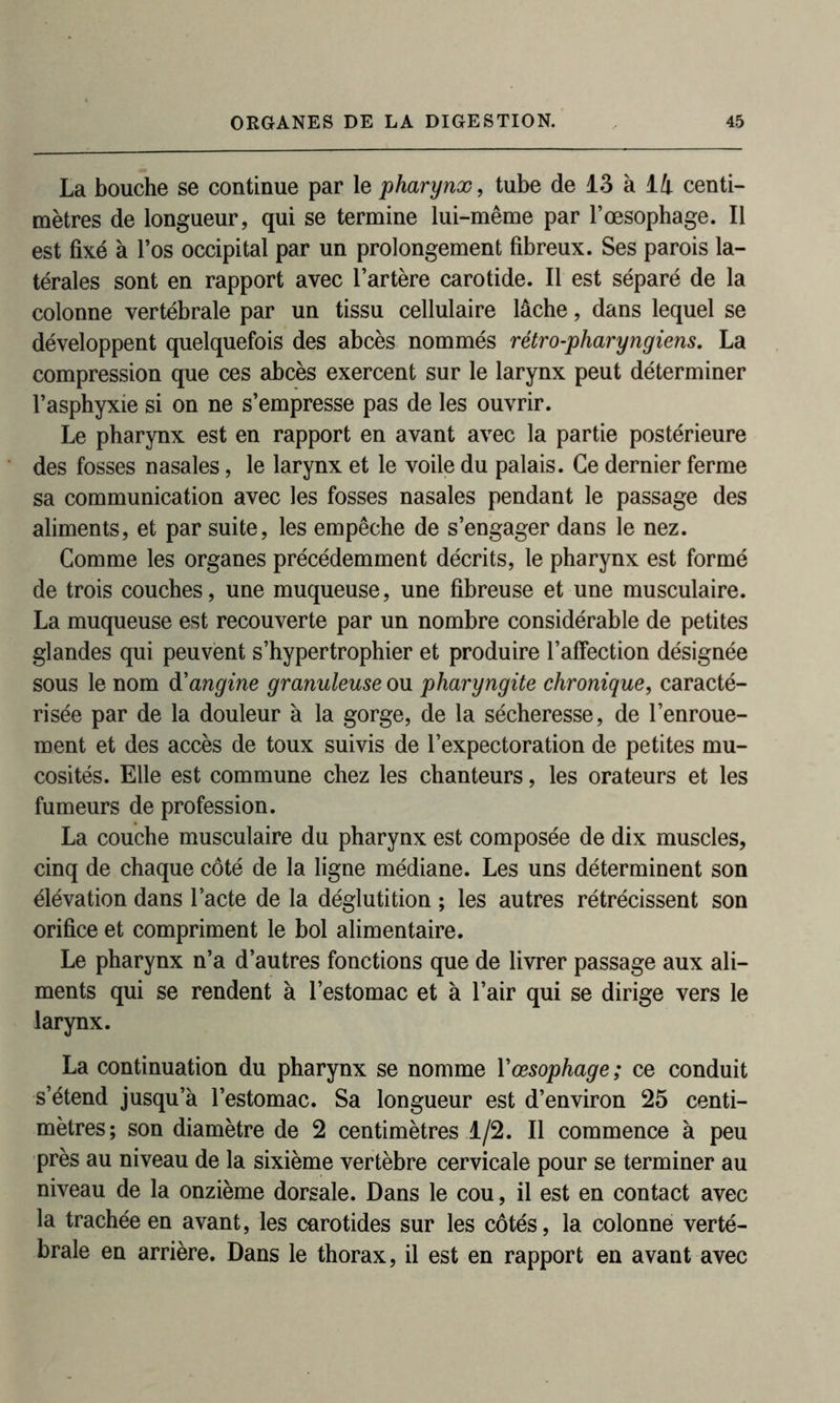 La bouche se continue par le pharynx, tube de 13 à 14 centi- mètres de longueur, qui se termine lui-même par l’oesophage. Il est fixé à l’os occipital par un prolongement fibreux. Ses parois la- térales sont en rapport avec l’artère carotide. Il est séparé de la colonne vertébrale par un tissu cellulaire lâche, dans lequel se développent quelquefois des abcès nommés rétro-pharyngiens. La compression que ces abcès exercent sur le larynx peut déterminer l’asphyxie si on ne s’empresse pas de les ouvrir. Le pharynx est en rapport en avant avec la partie postérieure des fosses nasales, le larynx et le voile du palais. Ce dernier ferme sa communication avec les fosses nasales pendant le passage des aliments, et par suite, les empêche de s’engager dans le nez. Comme les organes précédemment décrits, le pharynx est formé de trois couches, une muqueuse, une fibreuse et une musculaire. La muqueuse est recouverte par un nombre considérable de petites glandes qui peuvent s’hypertrophier et produire l’affection désignée sous le nom d'angine granuleuse ou pharyngite chronique, caracté- risée par de la douleur à la gorge, de la sécheresse, de l’enroue- ment et des accès de toux suivis de l’expectoration de petites mu- cosités. Elle est commune chez les chanteurs, les orateurs et les fumeurs de profession. La couche musculaire du pharynx est composée de dix muscles, cinq de chaque côté de la ligne médiane. Les uns déterminent son élévation dans l’acte de la déglutition ; les autres rétrécissent son orifice et compriment le bol alimentaire. Le pharynx n’a d’autres fonctions que de livrer passage aux ali- ments qui se rendent à l’estomac et à l’air qui se dirige vers le larynx. La continuation du pharynx se nomme Y œsophage ; ce conduit s’étend jusqu’à l’estomac. Sa longueur est d’environ 25 centi- mètres; son diamètre de 2 centimètres 1/2. Il commence à peu près au niveau de la sixième vertèbre cervicale pour se terminer au niveau de la onzième dorsale. Dans le cou, il est en contact avec la trachée en avant, les carotides sur les côtés, la colonne verté- brale en arrière. Dans le thorax, il est en rapport en avant avec