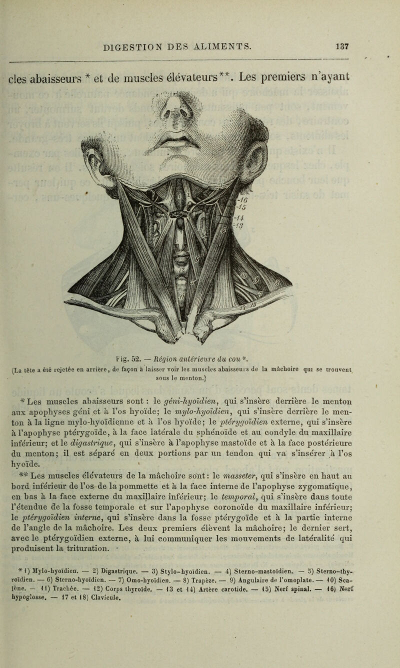 des abaisseurs * et de muscles élévateurs**. Les premiers n’ayant Fig. 52. — Région antérieure du cou *. (La tète a été rejetée en arrière, de façon à laisser voir les muscles abaisseurs de la mâchoire qui se trouvent sous le menton.) * Les muscles abaisseurs sont: le géni-hyoïdien, qui s’insère derrière le menton aux apophyses géni et à l’os hyoïde; le mylo-hyoïdien, qui s’insère derrière le men- ton à la ligne mylo-hyoïdienne et à l’os hyoïde; le ptêrygoïdien externe, qui s’insère à l’apophyse ptérygoïde, à la face latérale du sphénoïde et au condyle du maxillaire inférieur; et le digastrique, qui s’insère à l’apophyse mastoïde et à la face postérieure du menton; il est séparé en deux portions par un tendon qui va s’insérer à l’os hyoïde. 1 **Les muscles élévateurs de la mâchoire sont: le masseter, qui s’insère en haut au bord inférieur de l’os de la pommette et à la face interne de l’apophyse zygomatique, en bas à la face externe du maxillaire inférieur; le temporal, qui s’insère dans toute l’étendue de la fosse temporale et sur l’apophyse coronoïde du maxillaire inférieur; le ptêrygoïdien interne, qui s’insère dans la fosse ptérygoïde et à la partie interne de l’angle de la mâchoire. Les deux premiers élèvent la mâchoire; le dernier sert, avec le ptêrygoïdien externe, à lui communiquer les mouvements de latéralité qui produisent la trituration. *1) Mylo-hyoïdien. — 2) Digastrique. — 3) Stylo-hyoïdien. — 4) Sterno-mastoïdien. — 5) Sterno-thy- roïdien. — 6) Sterno-hyoïdien. — 7) Omo-hyoïdien. — 8) Trapèze. — 9) Angulaire de l’omoplate.— 40) Sca- lène. — 41) Trachée. — 42) Corps thyroïde. — 43 et 44) Artère carotide. — 45) Nerf spinal. — 46) Nerf hypoglosse. — 17 et 18) Clavicule.