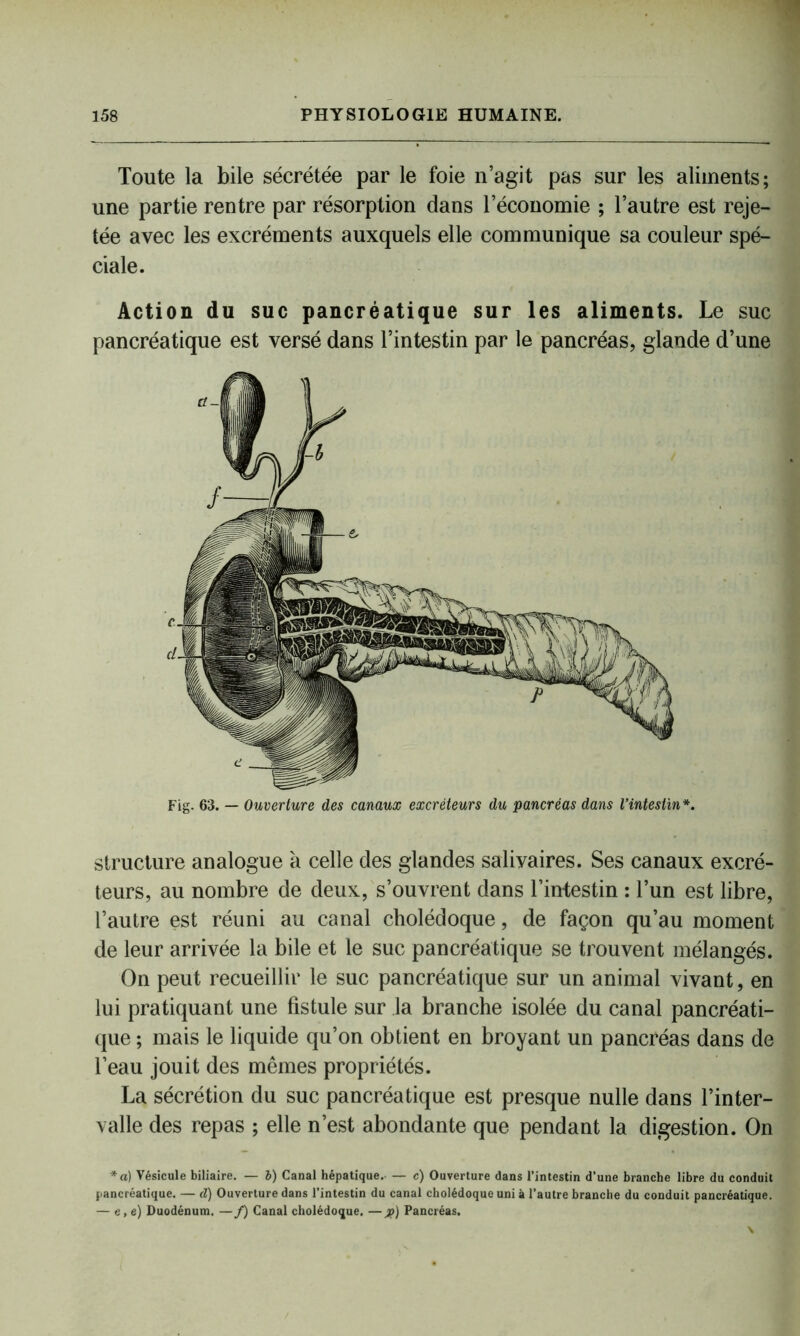 Toute la bile sécrétée par le foie n’agit pas sur les aliments; une partie rentre par résorption dans l’économie ; l’autre est reje- tée avec les excréments auxquels elle communique sa couleur spé- ciale. Action du suc pancréatique sur les aliments. Le suc pancréatique est versé dans l’intestin par le pancréas, glande d’une Fig. 63. — Ouverture des canaux excréteurs du pancréas dans l’intestin*. structure analogue à celle des glandes salivaires. Ses canaux excré- teurs, au nombre de deux, s’ouvrent dans l’intestin : l’un est libre, l’autre est réuni au canal cholédoque, de façon qu’au moment de leur arrivée la bile et le suc pancréatique se trouvent mélangés. On peut recueillir le suc pancréatique sur un animal vivant, en lui pratiquant une fistule sur la branche isolée du canal pancréati- que ; mais le liquide qu’on obtient en broyant un pancréas dans de l’eau jouit des mêmes propriétés. La sécrétion du suc pancréatique est presque nulle dans l’inter- valle des repas ; elle n’est abondante que pendant la digestion. On *a) Vésicule biliaire. — b) Canal hépatique.- — c) Ouverture dans l’intestin d’une branche libre du conduit pancréatique. — d) Ouverture dans l’intestin du canal cholédoque uni à l’autre branche du conduit pancréatique. — e, e) Duodénum. — /) Canal cholédoque. — #) Pancréas.