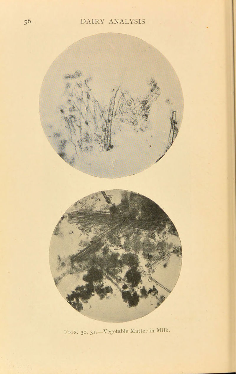 b’lCrS. 30, 31.—Vegetable Matter in Milk.