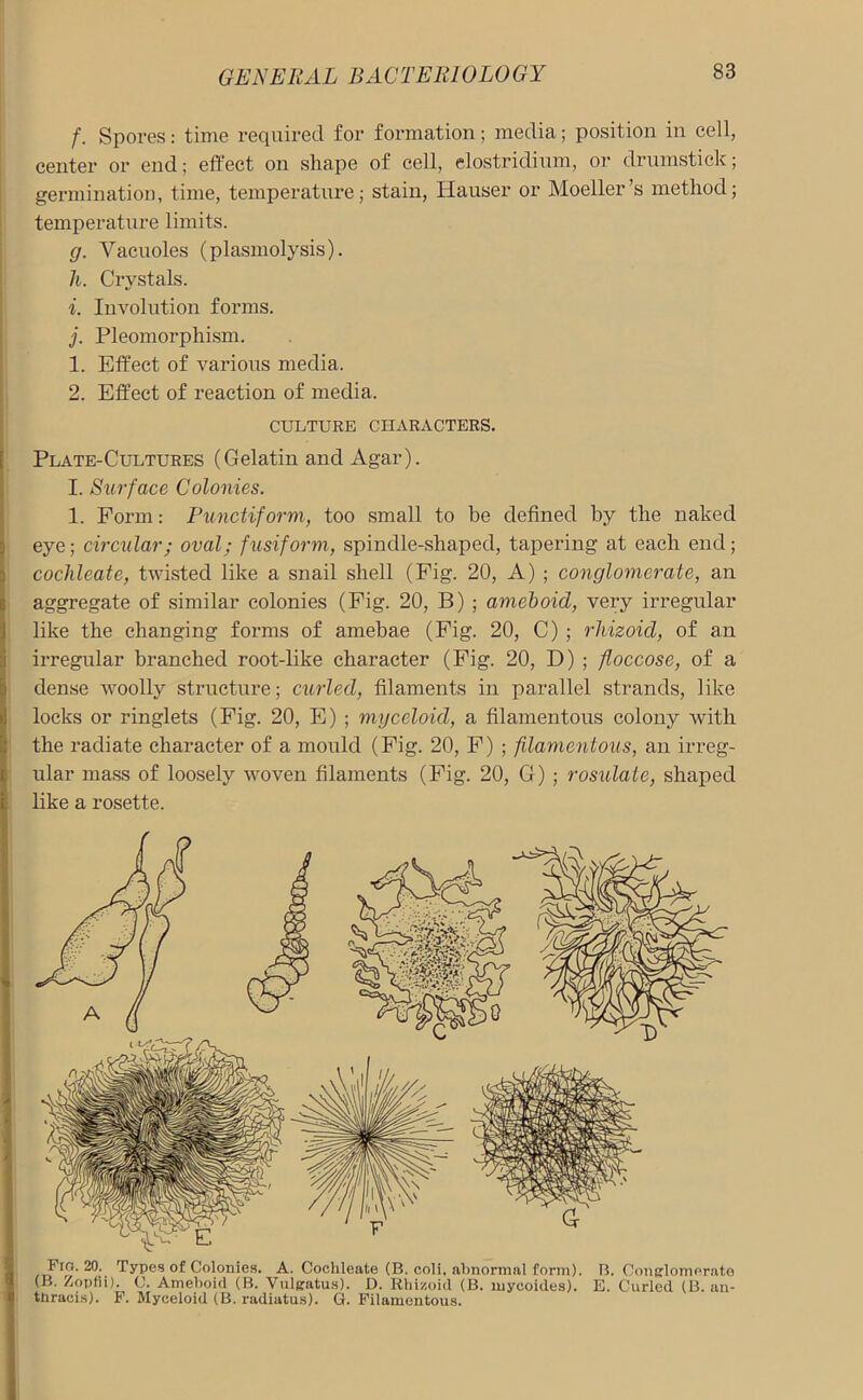 f. Spores: time required for formation; media; position in cell, center or end; effect on shape of cell, elostridium, or drumstick; germination, time, temperature; stain, Hauser or Moeller’s method; temperature limits. g. Vacuoles (plasmolysis). h. Crystals. i. Involution forms. j. Pleomorphism. 1. Effect of various media. 2. Effect of reaction of media. CULTURE CHARACTERS. Plate-Cultures (Gelatin and Agar). I. Surface Colonies. 1. Form: Punctiform, too small to be defined by the naked eye; circular; oval; fusiform, spindle-shaped, tapering at each end; coclileate, twisted like a snail shell (Fig. 20, A) ; conglomerate, an aggregate of similar colonies (Fig. 20, B) ; ameboid, very irregular like the changing forms of amebae (Fig. 20, C) ; rhizoid, of an irregular branched root-like character (Fig. 20, D) ; floccose, of a dense woolly structure; curled, filaments in parallel strands, 1 ike locks or ringlets (Fig. 20, E) ; myceloid, a filamentous colony with the radiate character of a mould (Fig. 20, F) ; filamentous, an irreg- ular mass of loosely woven filaments (Fig. 20, G) ; rosidate, shaped like a rosette. Pig. 20. Types of Colonies. A. Coclileate (B. coli, abnormal form). B. Conglomerate (B. Zopfii). C. Ameboid (B. Vulgatus). D. Rhizoid (B. mycoides). E. Curled (B. an- thracis). F. Myceloid (B. radiatus). G. Filamentous.