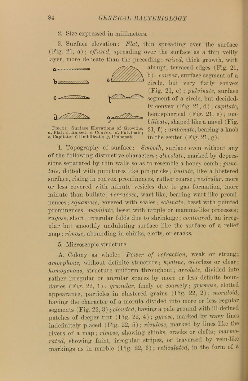 ~H /////.WS////77PK 2. Size expressed in millimeters. 3. Surface elevation: Flat, thin spreading over the surface (Fig. 21, a) ; effused, spreading over the surface as a thin veilly layer, more delicate than the preceding; raised, thick growth, with abrupt, terraced edges (Fig. 21, b) ; convex, surface segment of a circle, but very flatly convex (Fig. 21, c) ; pulvinate, surface segment of a circle, but decided- ly convex (Fig. 21, d) ; capitate, hemispherical (Fig. 21, e) ; um- ^ bilicate, shaped like a navel (Fig. 21, f) ; umbonate, bearing a knob in the center (Fig. 21, g). Fig. 21. Surface Elevations of Growths. a, Flat: 6, Raised: c, Convex; d, Pulvinate; e, Capitate; f, Umbilicate; a, Umbonate. 4. Topography of surface: Smooth, surface even without any of the following distinctive characters; alveolate, marked by depres- sions separated by thin walls so as to resemble a honey comb; punc- tate, dotted with punctures like pin-pricks; bidlate, like a blistered surface, rising in convex prominences, rather coarse; vesicular, more or less covered with minute vesicles due to gas formation, more minute than bullate; verrucose, wart-like, bearing wart-like promi- nences ; squamose, covered with scales; echinate, beset with pointed prominences; papillate, beset with nipple or mamma-like processes; rugose, short, irregular folds due to shrinkage; contoured, an irreg- ular but smoothly undulating surface like the surface of a relief map ; rimose, abounding in chinks, clefts, or cracks. 5. Microscopic structure. A. Colony as whole: Power of refraction, weak or strong; amorphous, without definite structure; hyaline, colorless or clear; homogenous, structure uniform throughout; arcolate, divided into rather irregular or angular spaces by more or less definite boun- daries (Fig. 22, 1) ; granular, finely or coarsely; grumose, clotted appearance, particles in clustered grains (Fig. 22, 2) ; moruloid, having the character of a morula divided into more or less regular segments (Fig. 22, 3) ; clouded, having a pale ground with ill-defined patches of deeper tint (Fig. 22, 4); gyrose, marked by wavy lines indefinitely placed (Fig. 22, 5) ; rivulose, marked by lines like the rivers of a map; rimose, showing chinks, cracks or clefts; marmo- rated, showing faint, irregular stripes, or traversed bv vein-like markings as in marble (Fig. 22, 6); reticulated, in the form of a