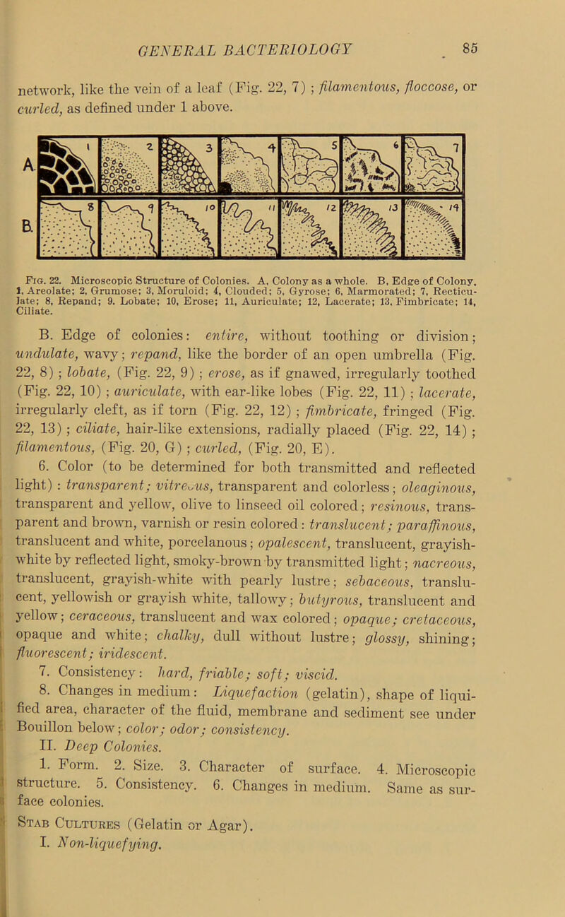 network, like the vein of a leaf (Fig. 22, 7) ; filamentous, floccose, or curled, as defined under 1 above. Fig. 22. Microscopic Structure of Colonies. A, Colony as a whole. B, Edge of Colony. 1, Areolate; 2, Grumose; 3, Moruloid; 4, Clouded; 5, Gyrose; 6, Marmorated; 7, Recticu- Jate; 8, Repand; 9. Lobate; 10, Erose; 11, Auriculate; 12, Lacerate; 13, Fimbricate; 14, Ciliate. B. Edge of colonies: entire, without toothing or division; undulate, wavy; repand, like the border of an open umbrella (Fig. 22, 8) ; lobate, (Fig. 22, 9) ; erose, as if gnawed, irregularly toothed (Fig. 22, 10) ; auriculate, with ear-like lobes (Fig. 22, 11) ; lacerate, irregularly cleft, as if torn (Fig. 22, 12) ; fimbricate, fringed (Fig. 22, 13) ; ciliate, hair-like extensions, radially placed (Fig. 22, 14) ; filamentous, (Fig. 20, G) ; curled, (Fig. 20, E). 6. Color (to be determined for both transmitted and reflected light) : transparent; vitreous, transparent and colorless; oleaginous, transparent and yellow, olive to linseed oil colored; resinous, trans- parent and brown, varnish or resin colored: translucent; paraffinous, translucent and white, porcelanous; opalescent, translucent, grayish- white by reflected light, smoky-brown by transmitted light; nacreous, translucent, grayish-white with pearly lustre; sebaceous, translu- cent, yellowish or grayish white, tallowy; butyrous, translucent and yellow; ceraceous, translucent and wax colored; opaque; cretaceous, opaque and white; chalky, dull without lustre; glossy, shining; fluorescent; iridescent. 7. Consistency: hard, friable; soft; viscid. 8. Changes in medium: Liquefaction (gelatin), shape of liqui- fied aiea, character of the fluid, membrane and sediment see under Bouillon below; color; odor; consistency. II. Deep Colonies. 1. Form. 2. Size. 3. Character of surface. 4. Microscopic structure.. 5. Consistency. 6. Changes in medium. Same as sur- face colonies. Stab Cultures (Gelatin or Agar). I. Non-liquefying.