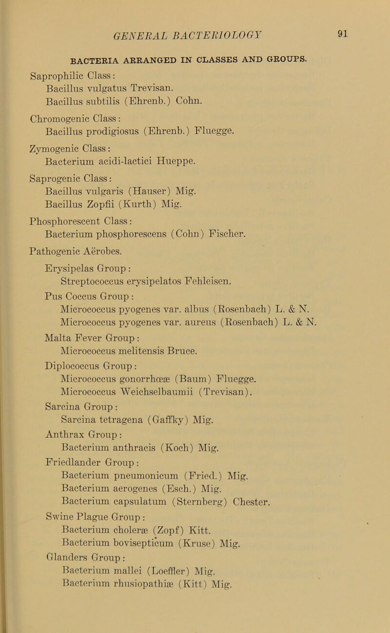 BACTERIA ARRANGED IN CLASSES AND GROUPS. Saprophilic Class: Bacillus vulgatus Trevisan. Bacillus subtilis (Ehrenb.) Cohn. Chromogenic Class: Bacillus prodigiosus (Ehrenb.) Fluegge. Zymogenic Class: Bacterium acidi-lactici Hueppe. Saprogenic Class: Bacillus vulgaris (Hauser) Mig. Bacillus Zopfii (Kurth) Mig. Phosphorescent Class: Bacterium phospliorescens (Colm) Fischer. Pathogenic Aerobes. Erysipelas Group: Streptococcus erysipelatos Fehleisen. Pus Coccus Group: Micrococcus pyogenes var. albus (Rosenhach) L. & N. Micrococcus pyogenes var. aureus (Rosenhach) L. & N. Malta Fever Group: Micrococcus melitensis Bruce. Diplococcus Group: Micrococcus gonorrhoeae (Baum) Fluegge. Micrococcus Weichselbaumii (Trevisan). Sarcina Group: Sarcina tetragena (Gaffky) Mig. Anthrax Group: Bacterium anthracis (Koch) Mig. Friedlander Group: Bacterium pneumonicum (Fried.) Mig. Bacterium aerogenes (Esch.) Mig. Bacterium capsulatum (Sternberg) Chester. Swine Plague Group: Bacterium cholerae (Zopf) Kitt. Bacterium bovisepticum (Kruse) Mig. Glanders Group: Bacterium mallei (Loeffler) Mig. Bacterium rhusiopathiae (Kitt) Mig.