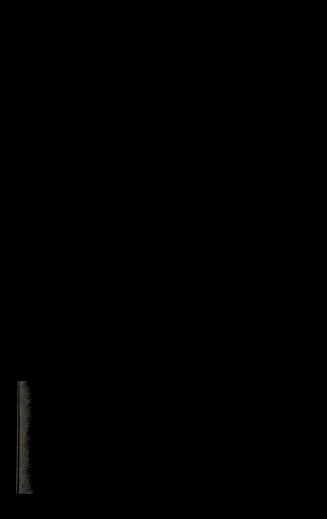 digitised image 3