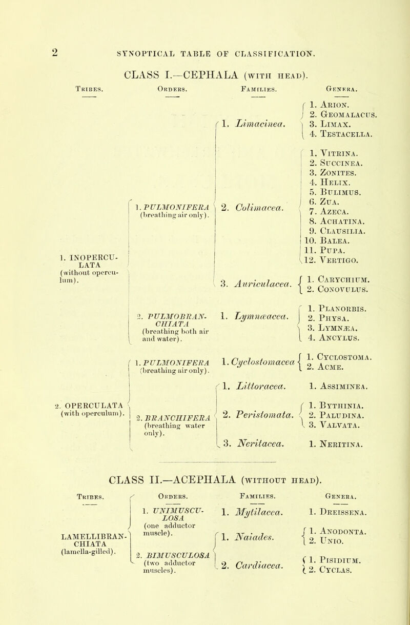 SYNOPTICAL TABLE OF CLASSIFICATION. CLASS I.—CEPHALA (with head). 1. INOPERCU- LATA (without opercu- lum). 1. PULMONTFERA (breathing air only). 1. Limacinea. 2. Colimarea. 3. Auriculacea {I 2. VULMOBUAN- 1. Lymnaacea. 2 CHI AT A <Jo (breathing both air and water). I 4. I 1. pulmonifera 1. Cyclostomacea I 2 (breathing air only). ' Genera. Arion. Gteomalacus. LlMAX. Testacella. VlTRINA. SuCCINEA. ZONITES. Heltx. BtTLIMUS. ZUA. AZECA. . achatina. . Clausilia. . Balea. . Pupa. , Vertigo. Carychium. Conovulus. Planorbis. Physa. Lymma. Ancylus. Cyclostoma. Acme. 1. Littoracea. 1. ASSIMINEA. !. OPERCULATA (with operculum). 2. brancrifera \ 2- Peristomata. (breathing water | I 3. niy). bytiiinia. Paludina. Valvata. 3. Neritacea. 1. Neritina. CLASS II.—ACEPHALA (without head). LAMELLIBRAN- CHIATA (lamella-gilled). Orders. 1. UNIMUSCU- LOSA (one adductor muscle). !. BIMUSCULOSA (two adductor Families. 1. Mytilacea. 1. Naiades. . 2. Cardiacea. Genera. 1. Dreissena. {1 Anodonta. 2. Unio. ( 1. PlSIDIUM.