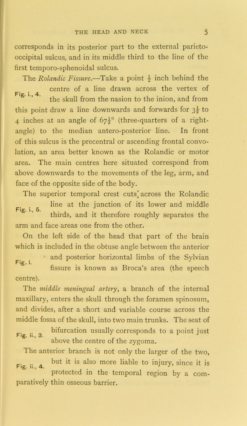 Fig. i., 4. Fig. i., 5. corresponds in its posterior part to the external parieto- occipital sulcus, and in its middle third to the line of the first temporo-sphenoidal sulcus. The Rolandic Fissure.—Take a point J inch behind the centre of a line drawn across the vertex of the skull from the nasion to the inion, and from this point draw a line downwards and forwards for 3^ to 4 inches at an angle of 67J0 (three-quarters of a right- angle) to the median antero-posterior line. In front of this sulcus is the precentral or ascending frontal convo- lution, an area better known as the Rolandic or motor area. The main centres here situated correspond from above downwards to the movements of the leg, arm, and face of the opposite side of the body. The superior temporal crest cuts] across the Rolandic line at the junction of its lower and middle thirds, and it therefore roughly separates the arm and face areas one from the other. On the left side of the head that part of the brain which is included in the obtuse angle between the anterior ■ and posterior horizontal limbs of the Sylvian fissure is known as Broca’s area (the speech centre). The middle meningeal artery, a branch of the internal maxillary, enters the skull through the foramen spinosum, and divides, after a short and variable course across the middle fossa of the skull, into two main trunks. The seat of bifurcation usually corresponds to a point just above the centre of the zygoma. The anterior branch is not only the larger of the two, but it is also more liable to injury, since it is protected in the temporal region by a com- paratively thin osseous barrier. Fig. i. Fig. ii., 3.