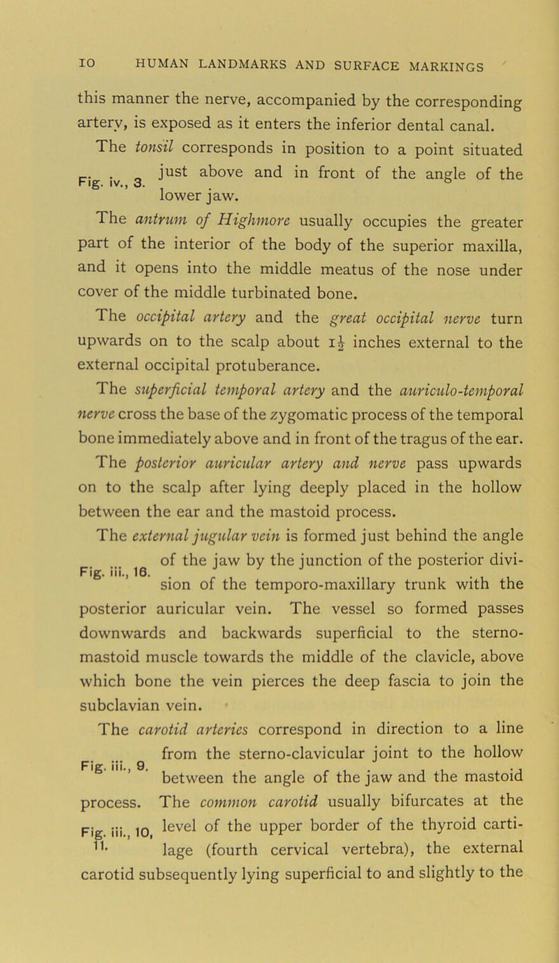 this manner the nerve, accompanied by the corresponding artery, is exposed as it enters the inferior dental canal. The tonsil corresponds in position to a point situated . just above and in front of the angle of the Fig. iv., 3. lower jaw. The antrum of Highmore usually occupies the greater part of the interior of the body of the superior maxilla, and it opens into the middle meatus of the nose under cover of the middle turbinated bone. The occipital artery and the great occipital nerve turn upwards on to the scalp about ii inches external to the external occipital protuberance. The superficial temporal artery and the auriculo-temporal nerve cross the base of the zygomatic process of the temporal bone immediately above and in front of the tragus of the ear. The posterior auricular artery and nerve pass upwards on to the scalp after lying deeply placed in the hollow between the ear and the mastoid process. The external jugular vein is formed just behind the angle of the jaw by the junction of the posterior divi- Fig. iii., 16. sion of the temporo-maxillary trunk with the posterior auricular vein. The vessel so formed passes downwards and backwards superficial to the sterno- mastoid muscle towards the middle of the clavicle, above which bone the vein pierces the deep fascia to join the subclavian vein. The carotid arteries correspond in direction to a line from the sterno-clavicular joint to the hollow S ’ between the angle of the jaw and the mastoid process. The common carotid usually bifurcates at the Fig iii 10 level °f upper border of the thyroid carti- 11- lage (fourth cervical vertebra), the external carotid subsequently lying superficial to and slightly to the