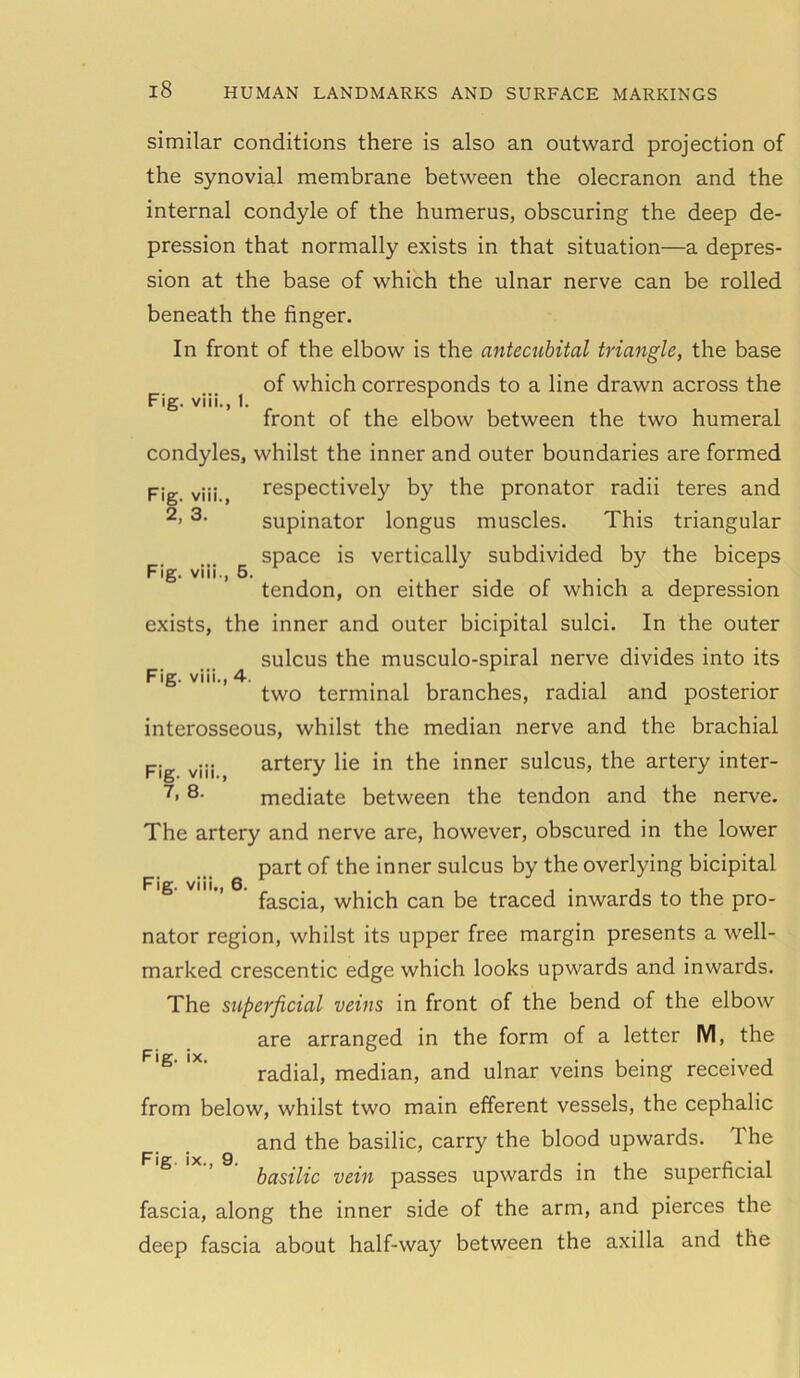 2, 3. Fig. viii., 5. Fig. viii., 4. similar conditions there is also an outward projection of the synovial membrane between the olecranon and the internal condyle of the humerus, obscuring the deep de- pression that normally exists in that situation—a depres- sion at the base of which the ulnar nerve can be rolled beneath the finger. In front of the elbow is the antecubital triangle, the base of which corresponds to a line drawn across the Fig. viii., 1. front of the elbow between the two humeral condyles, whilst the inner and outer boundaries are formed Fig. viii., respectively by the pronator radii teres and supinator longus muscles. This triangular space is vertically subdivided by the biceps tendon, on either side of which a depression exists, the inner and outer bicipital sulci. In the outer sulcus the musculo-spiral nerve divides into its two terminal branches, radial and posterior interosseous, whilst the median nerve and the brachial Fig viii artery lie in the inner sulcus, the artery inter- 7> 8- mediate between the tendon and the nerve. The artery and nerve are, however, obscured in the lower part of the inner sulcus by the overlying bicipital fascia, which can be traced inwards to the pro- nator region, whilst its upper free margin presents a well- marked crescentic edge which looks upwards and inwards. The superficial veins in front of the bend of the elbow are arranged in the form of a letter M, the radial, median, and ulnar veins being received from below, whilst two main efferent vessels, the cephalic and the basilic, carry the blood upwards. The basilic vein passes upwards in the superficial fascia, along the inner side of the arm, and pierces the deep fascia about half-way between the axilla and the Fig. viii,, 6. Fig. ix. Fig. ix., 9.