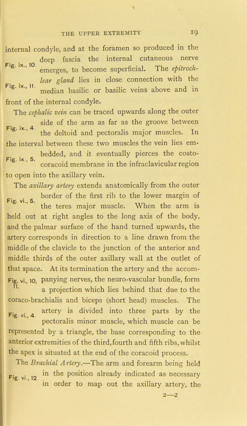 Fig. ix., 5. internal condyle, and at the foramen so produced in the deep fascia the internal cutaneous nerve 'S‘ ,X” emerges, to become superficial. The epitroch- lear gland lies in close connection with the Fig. ix., 11 medjan basiiic or basilic veins above and in front of the internal condyle. The cephalic vein can be traced upwards along the outer side of the arm as far as the groove between pjejr jj^i 4. the deltoid and pectoralis major muscles. In the interval between these two muscles the vein lies em- bedded, and it eventually pierces the costo- coracoid membrane in the infraclavicular region to open into the axillary vein. The axillary artery extends anatomically from the outer border of the first rib to the lower margin of Pig yj ^ the teres major muscle. When the arm is held out at right angles to the long axis of the body, and the palmar surface of the hand turned upwards, the artery corresponds in direction to a line drawn from the middle of the clavicle to the junction of the anterior and middle thirds of the outer axillary wall at the outlet of that space. At its termination the artery and the accom- Fig. vi., 10. panying nerves, the neuro-vascular bundle, form a projection which lies behind that due to the coraco-brachialis and biceps (short head) muscles. The _. . artery is divided into three parts by the Fig. vi., 4 , r j pectoralis minor muscle, which muscle can be represented by a triangle, the base corresponding to the anterior extremities of the third,fourth and fifth ribs, whilst the apex is situated at the end of the coracoid process. The Brachial Artery.—The arm and forearm being held Fig vi 12 Pos^on already indicated as necessary in order to map out the axillary artery, the 2—2