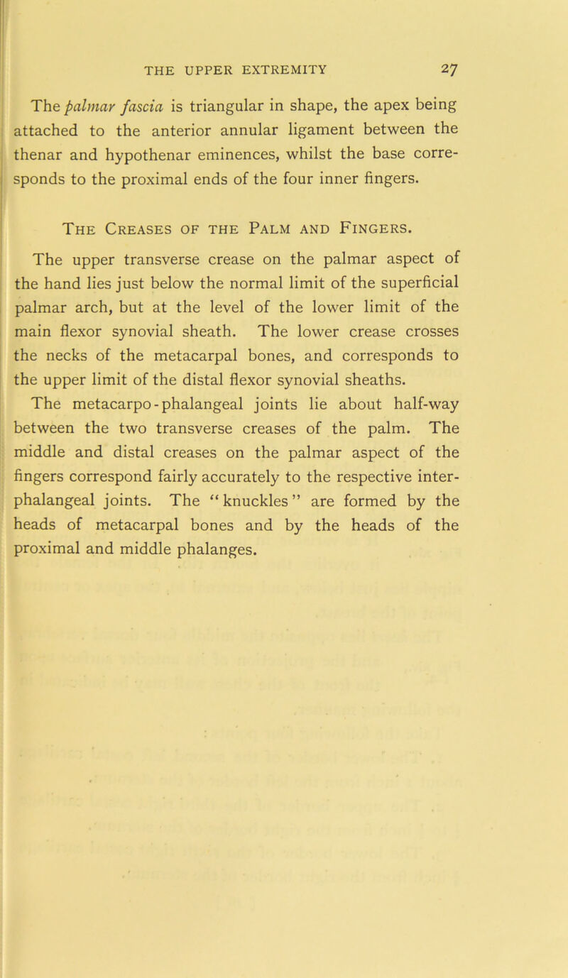 The palmar fascia is triangular in shape, the apex being attached to the anterior annular ligament between the thenar and hypothenar eminences, whilst the base corre- sponds to the proximal ends of the four inner fingers. The Creases of the Palm and Fingers. The upper transverse crease on the palmar aspect of the hand lies just below the normal limit of the superficial palmar arch, but at the level of the lower limit of the main flexor synovial sheath. The lower crease crosses the necks of the metacarpal bones, and corresponds to the upper limit of the distal flexor synovial sheaths. The metacarpo-phalangeal joints lie about half-way between the two transverse creases of the palm. The middle and distal creases on the palmar aspect of the fingers correspond fairly accurately to the respective inter- phalangeal joints. The “knuckles” are formed by the heads of metacarpal bones and by the heads of the proximal and middle phalanges.