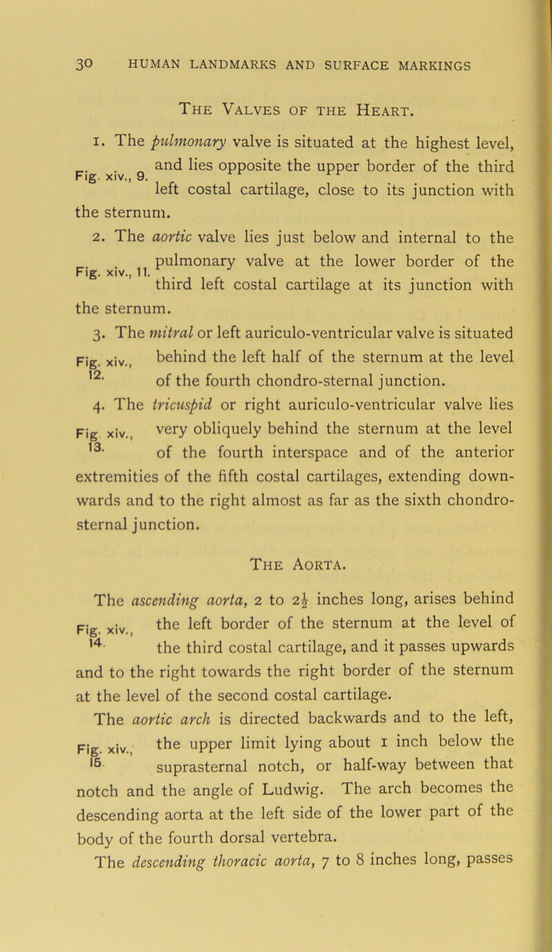 The Valves of the Heart. Fig. xiv., 9. Fig. xiv., 11. 1. The pidmonary valve is situated at the highest level, and lies opposite the upper border of the third left costal cartilage, close to its junction with the sternum. 2. The aortic valve lies just below and internal to the pulmonary valve at the lower border of the third left costal cartilage at its junction with the sternum. 3. The mitral or left auriculo-ventricular valve is situated behind the left half of the sternum at the level of the fourth chondro-sternal junction. 4. The tricuspid or right auriculo-ventricular valve lies Fig xiv., very obliquely behind the sternum at the level 13- of the fourth interspace and of the anterior extremities of the fifth costal cartilages, extending down- wards and to the right almost as far as the sixth chondro- sternal junction. Fig. xiv., 12. The Aorta. The ascending aorta, 2 to 2£ inches long, arises behind Fig xiv the left border of the sternum at the level of 14 the third costal cartilage, and it passes upwards and to the right towards the right border of the sternum at the level of the second costal cartilage. The aortic arch is directed backwards and to the left, Fig. xiv. the upper limit lying about 1 inch below the suprasternal notch, or half-way between that notch and the angle of Ludwig. The arch becomes the descending aorta at the left side of the lower part of the body of the fourth dorsal vertebra. The descending thoracic aorta, 7 to 8 inches long, passes