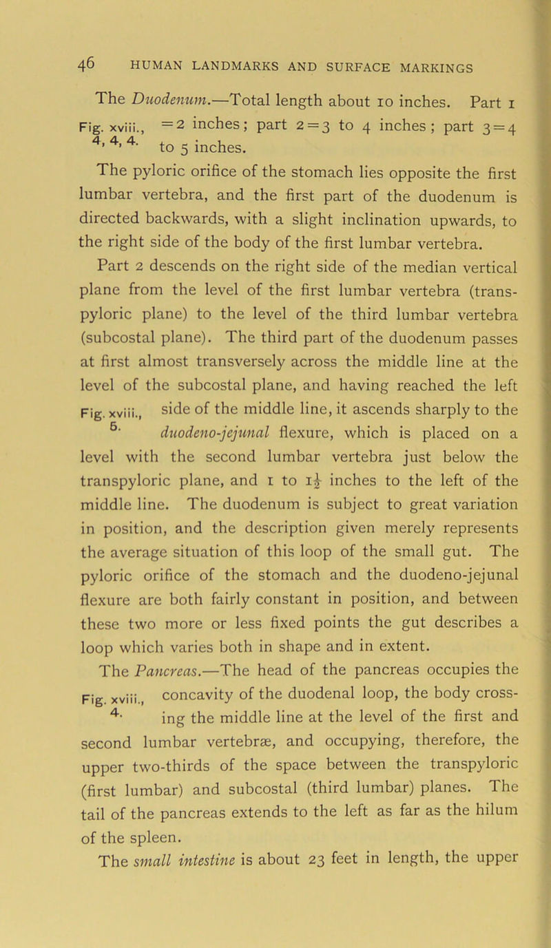 The Duodenum.—Total length about 10 inches. Part 1 Fig. xviii., =2 inches; part 2 = 3 to 4 inches; part 3 = 4 4’ 4’ 4‘ to 5 inches. The pyloric orifice of the stomach lies opposite the first lumbar vertebra, and the first part of the duodenum is directed backwards, with a slight inclination upwards, to the right side of the body of the first lumbar vertebra. Part 2 descends on the right side of the median vertical plane from the level of the first lumbar vertebra (trans- pyloric plane) to the level of the third lumbar vertebra (subcostal plane). The third part of the duodenum passes at first almost transversely across the middle line at the level of the subcostal plane, and having reached the left Fig. xviii., side °f the middle line, it ascends sharply to the duodeno-jcjunal flexure, which is placed on a level with the second lumbar vertebra just below the transpyloric plane, and 1 to i£ inches to the left of the middle line. The duodenum is subject to great variation in position, and the description given merely represents the average situation of this loop of the small gut. The pyloric orifice of the stomach and the duodeno-jejunal flexure are both fairly constant in position, and between these two more or less fixed points the gut describes a loop which varies both in shape and in extent. The Pancreas.—The head of the pancreas occupies the Fig xviii., concavity of the duodenal loop, the body cross- 4‘ ing the middle line at the level of the first and second lumbar vertebrae, and occupying, therefore, the upper two-thirds of the space between the transpyloric (first lumbar) and subcostal (third lumbar) planes. The tail of the pancreas extends to the left as far as the hilum of the spleen. The small intestine is about 23 feet in length, the upper