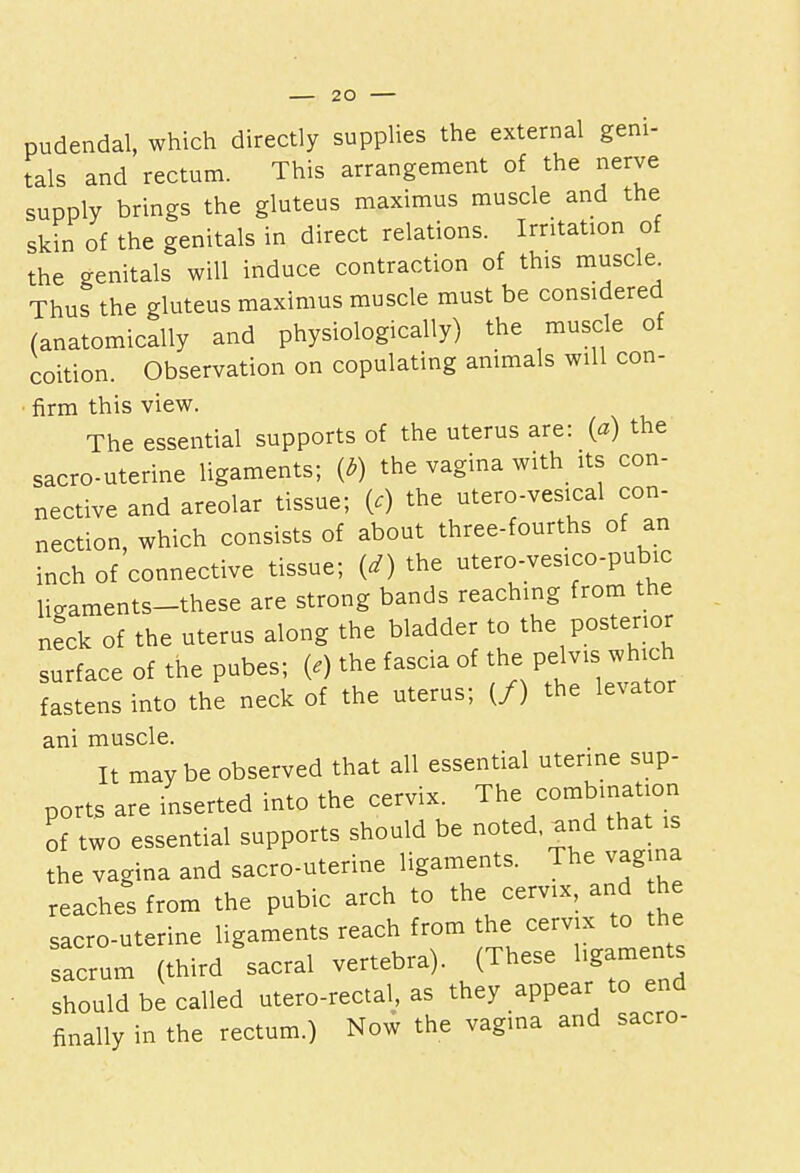 pudendal, which directly supplies the external geni- tals and rectum. This arrangement of the nerve supply brings the gluteus maximus muscle and the skin of the genitals in direct relations. Irritation of the genitals will induce contraction of this muscle Thus the gluteus maximus muscle must be considered (anatomically and physiologically) the muscle of coition. Observation on copulating animals will con- firm this view. The essential supports of the uterus are: (a) the sacro-uterine ligaments; {b) the vagina with its con- nective and areolar tissue; {c) the utero-vesical con- nection, which consists of about three-fourths of an inch of connective tissue; (d) the utero-vesico-pubic liaaments-these are strong bands reaching from the neck of the uterus along the bladder to the posterior surface of the pubes; (,) the fascia of the pelvis which fastens into the neck of the uterus; (/) the levator ani muscle. It may be observed that all essential uterine sup- ports are inserted into the cervix. The combination of two essential supports should be noted, and that is the vagina and sacro-uterine ligaments. The vagina reaches from the pubic arch to the cervix, and he sacro-uterine ligaments reach from the cervix to the sacrum (third sacral vertebra). (These hgaments should be called utero-rectal, as they appear to end finally in the rectum.) Now the vagina and sacro-