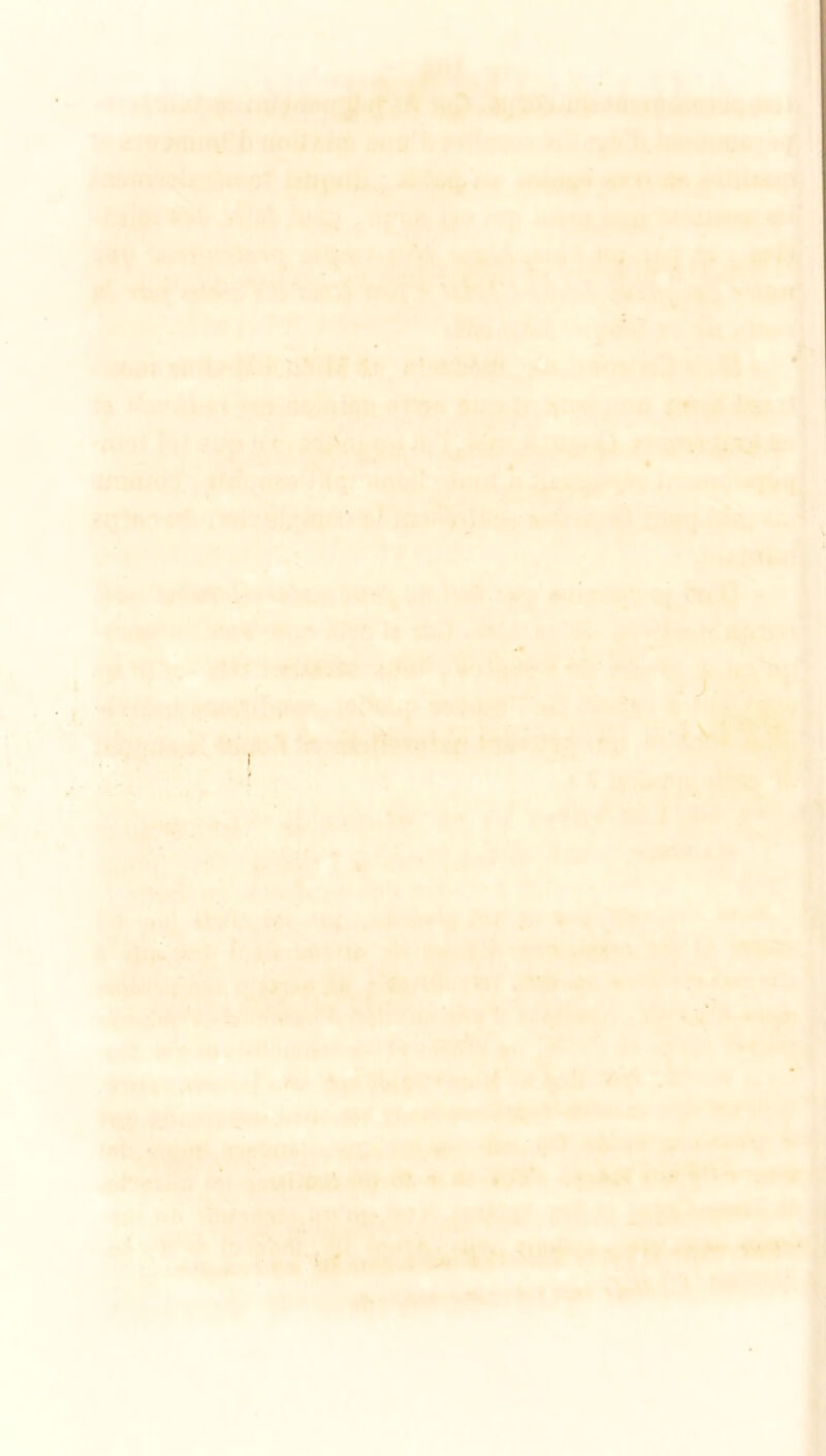J «<t«MU>^i) «KHllbM» rn-t'l r’ J5?.ffV<a^->Tk^ «rtt»»*» fOÿm^, k'iA' »’ 1*; jja^ ç. !|!;j.r 4<> . *4 H|||^>IWIn ,<v ■• 't^-' V'M' -\^v , .5fr-^rV.♦ •■■ VH^ ■ v-4ft«i /J- '^ ' ■■■_■' •Mf».:\,i. '.fii^ «l<»^■Sllyrii■♦',i>^^W 9' aW^ :î*ir.>ir^C^ ?j /ï%i (i^it 4i. r î M'^j hî iiTjfc^'. qr» ' fttu?; ,« • • -•*•, - =TV : A*; 't lip . ^ ' _ -f .K. . . I \ ^ 'iS ' i ! •^; 4' i • «■ / i A « ^ .^L M si i ■Vr ■i ;ti^ itA\'i^ . ‘>*Mf .'•' ■^ < , ', /'H/WB'«• • •• >i:< B V<Ç. «nu•■.. .<' >%»»•' »■ “ V'»*#«« »r. '^. '■ ‘ .|p ,f»*4i-,*f<,- ■•i...«w #Vi*'*-»'i^ X ... •’ •«liuMiÉi»». 4i»m^^»rtr ■••■ ■«•** ■ <4''* -■•^»<\- » . ^ A • • ■ . '. ^W-T